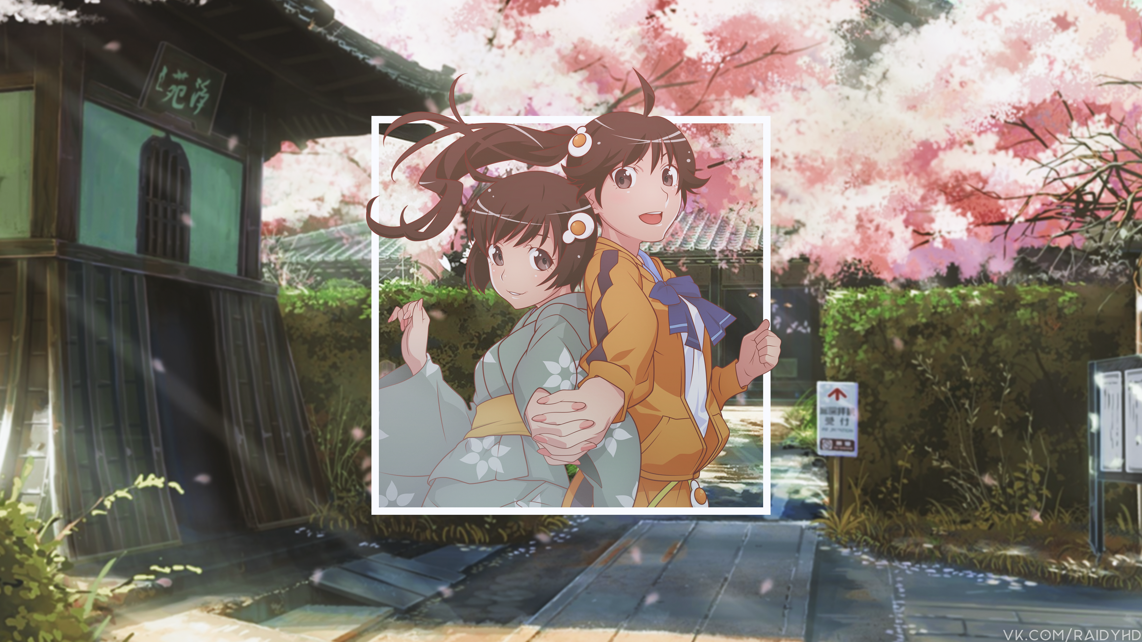 4K Araragi Karen and Araragi Tsukihi from Monogatari Series HD Wallpaper
