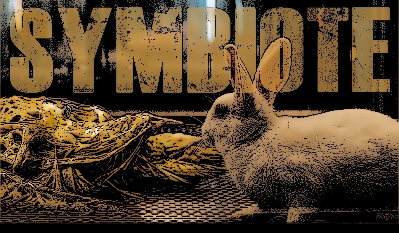 Symbiote artwork with rabbit and nest HD Wallpaper