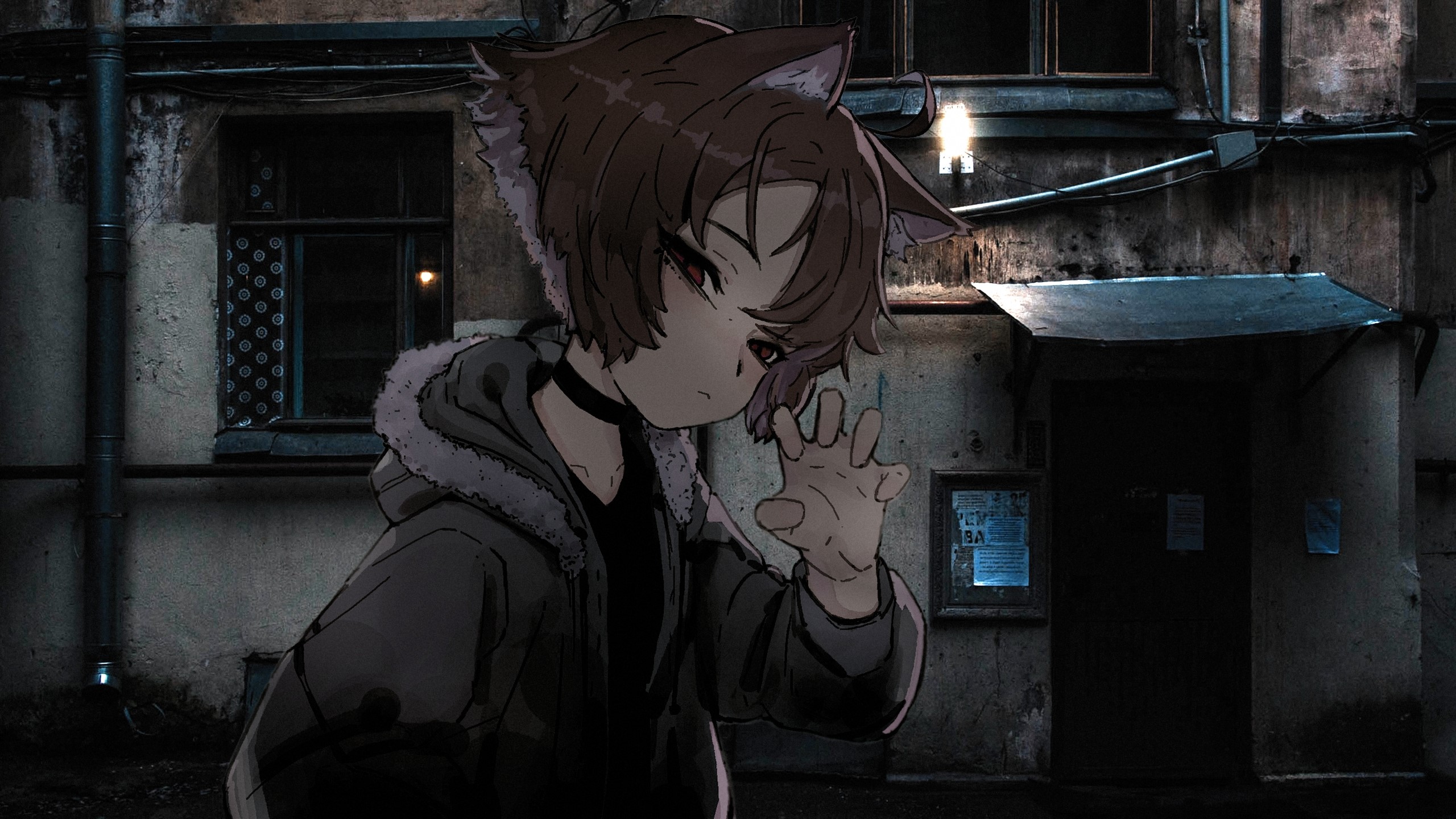 Anime girl with cat ears in alleyway HD Wallpaper