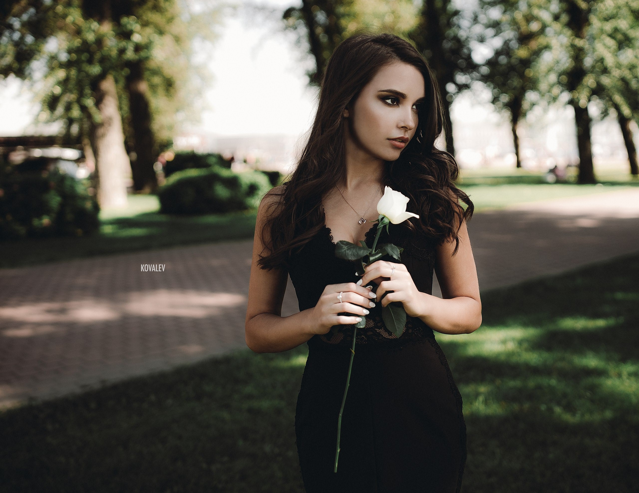 Woman holding a white rose outdoors HD Wallpaper