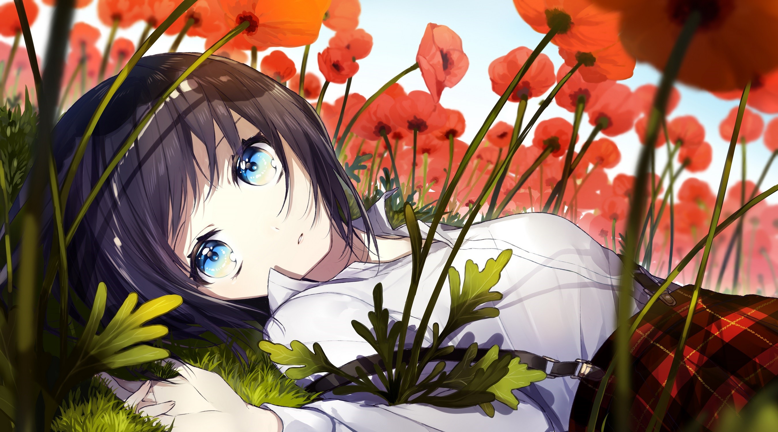 Anime girl with blue eyes lying in a field of red poppies HD Wallpaper