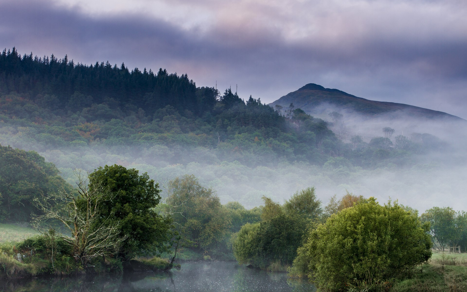 Misty mountains and forest with a river HD Wallpaper