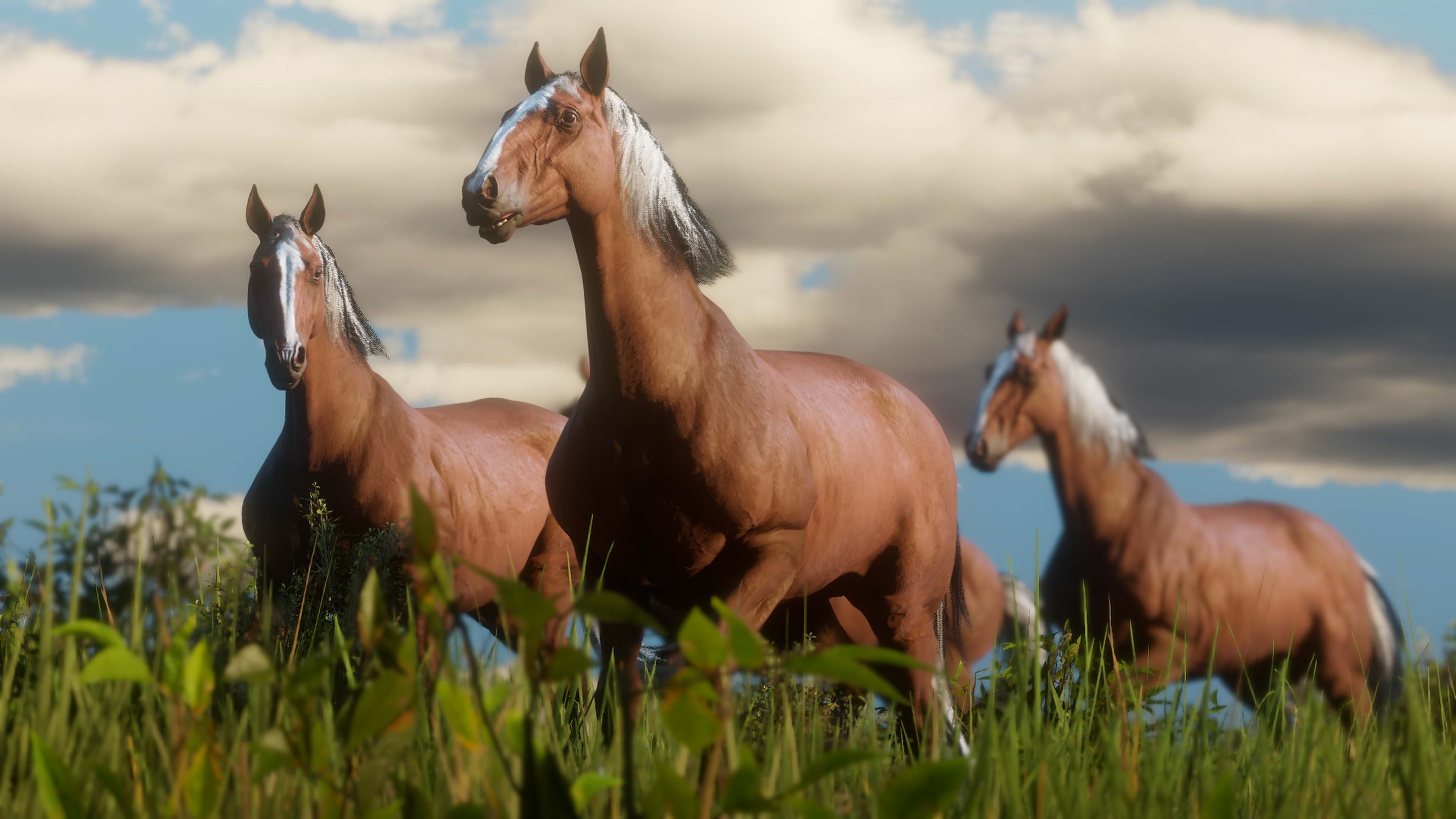 Red Dead Redemption 2 Horses in a Field HD Wallpaper