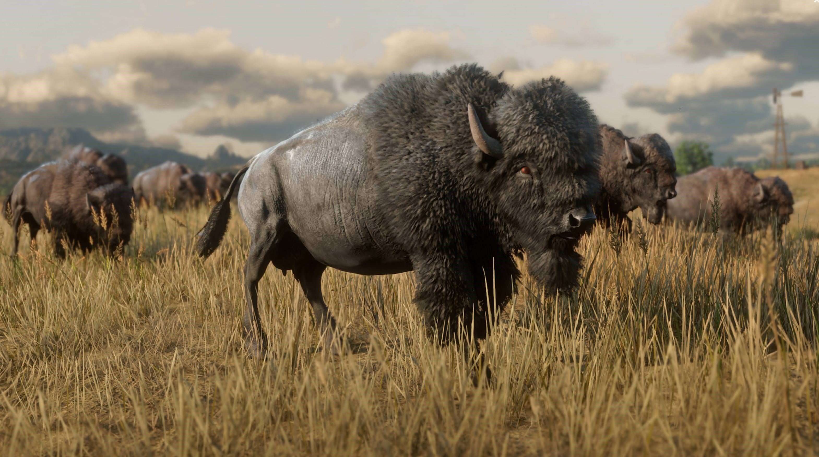 Bison herd in Red Dead Redemption 2 HD Wallpaper