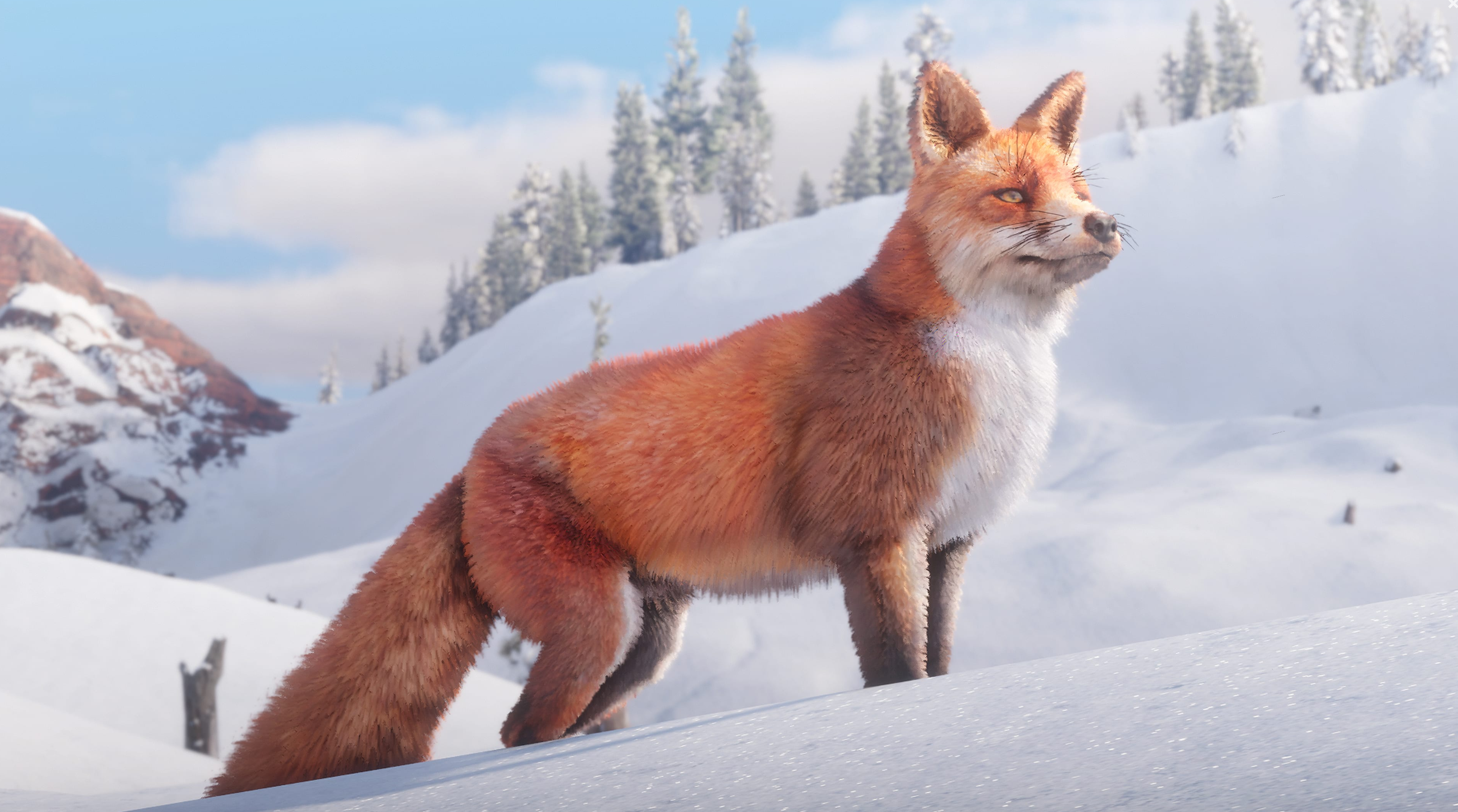 Fox in a snowy landscape from Red Dead Redemption 2 HD Wallpaper
