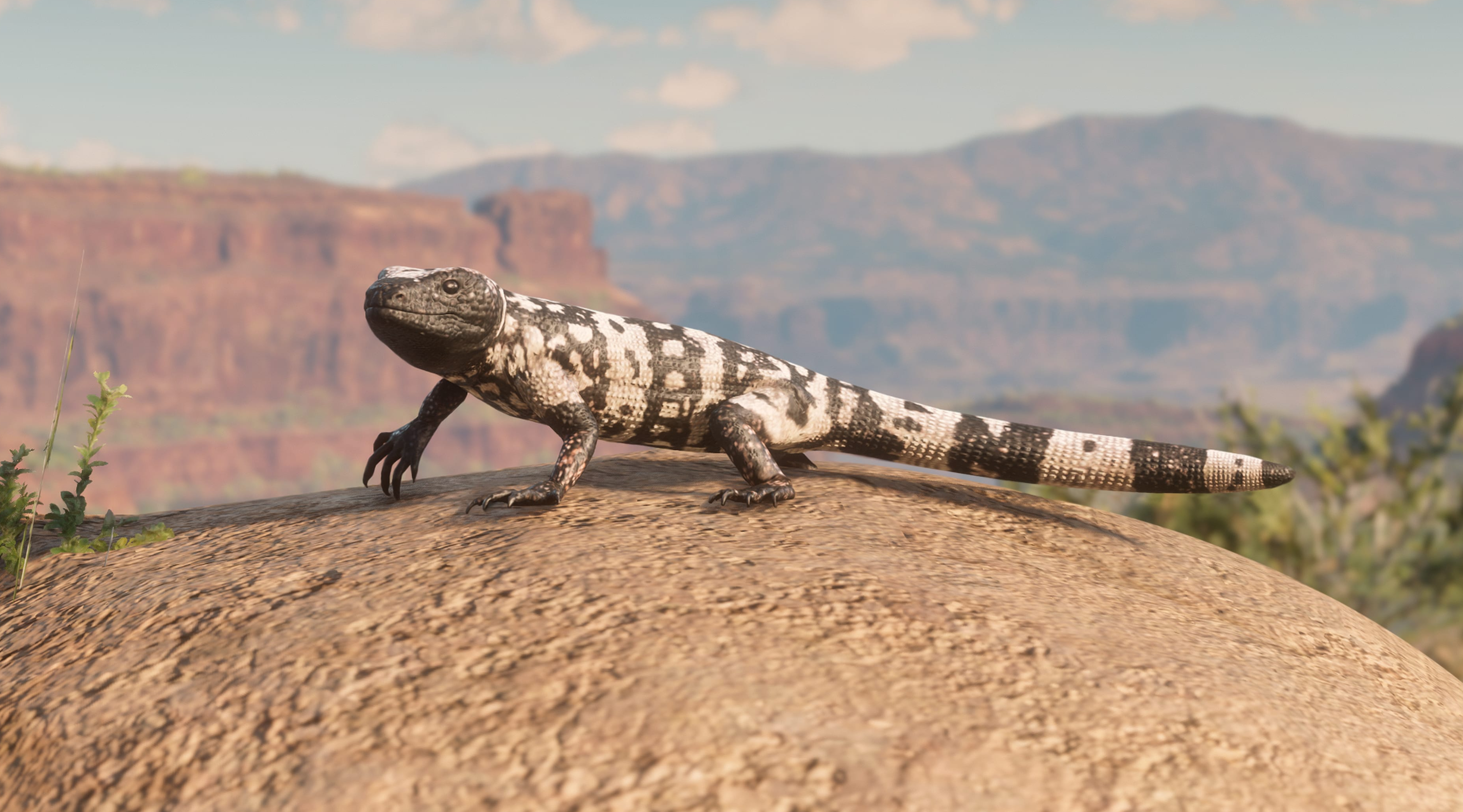 Gila Monster from Red Dead Redemption 2 HD Wallpaper