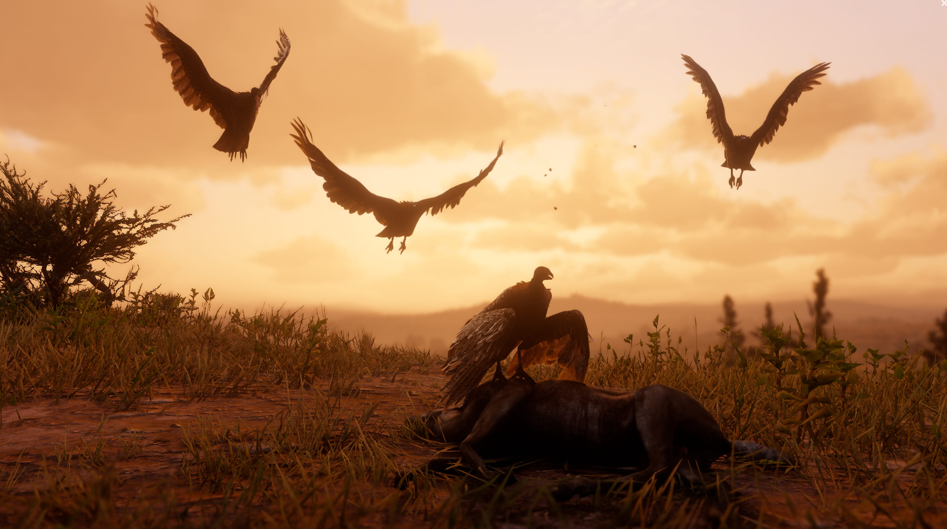 Vultures circling a carcass in Red Dead Redemption 2 HD Wallpaper