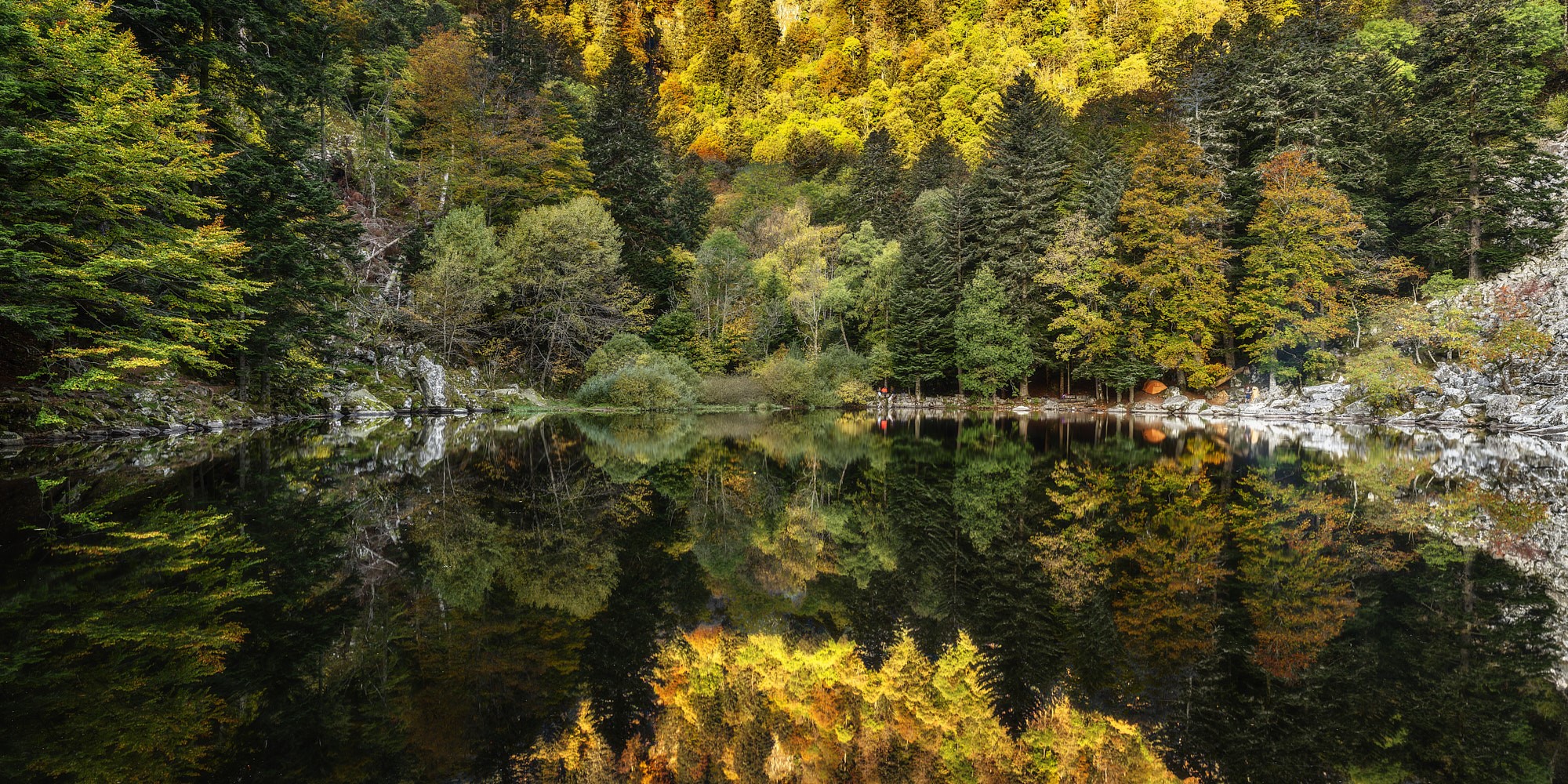 Autumn forest reflected in a calm lake HD Wallpaper