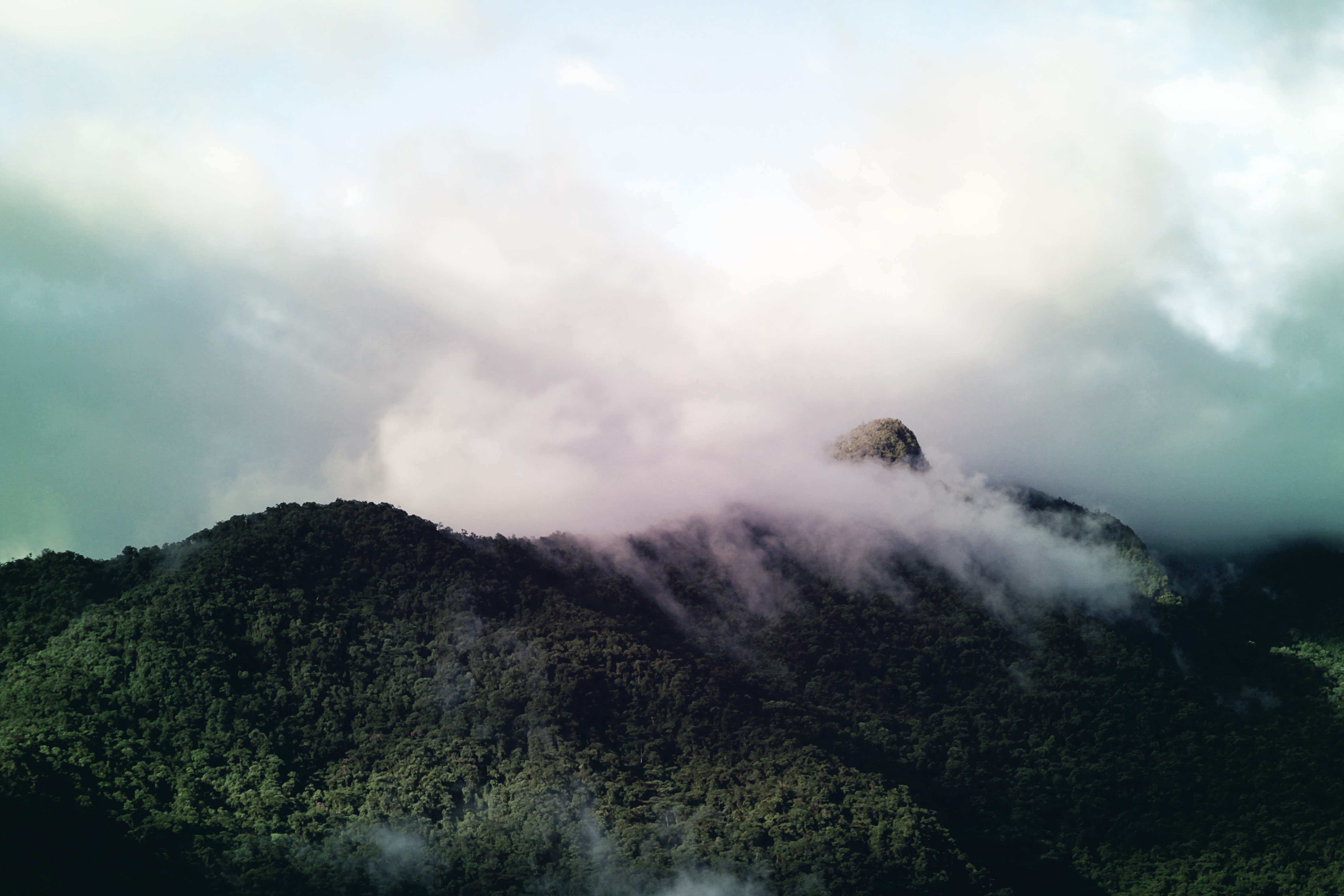 Mountains covered in forest and clouds HD Wallpaper