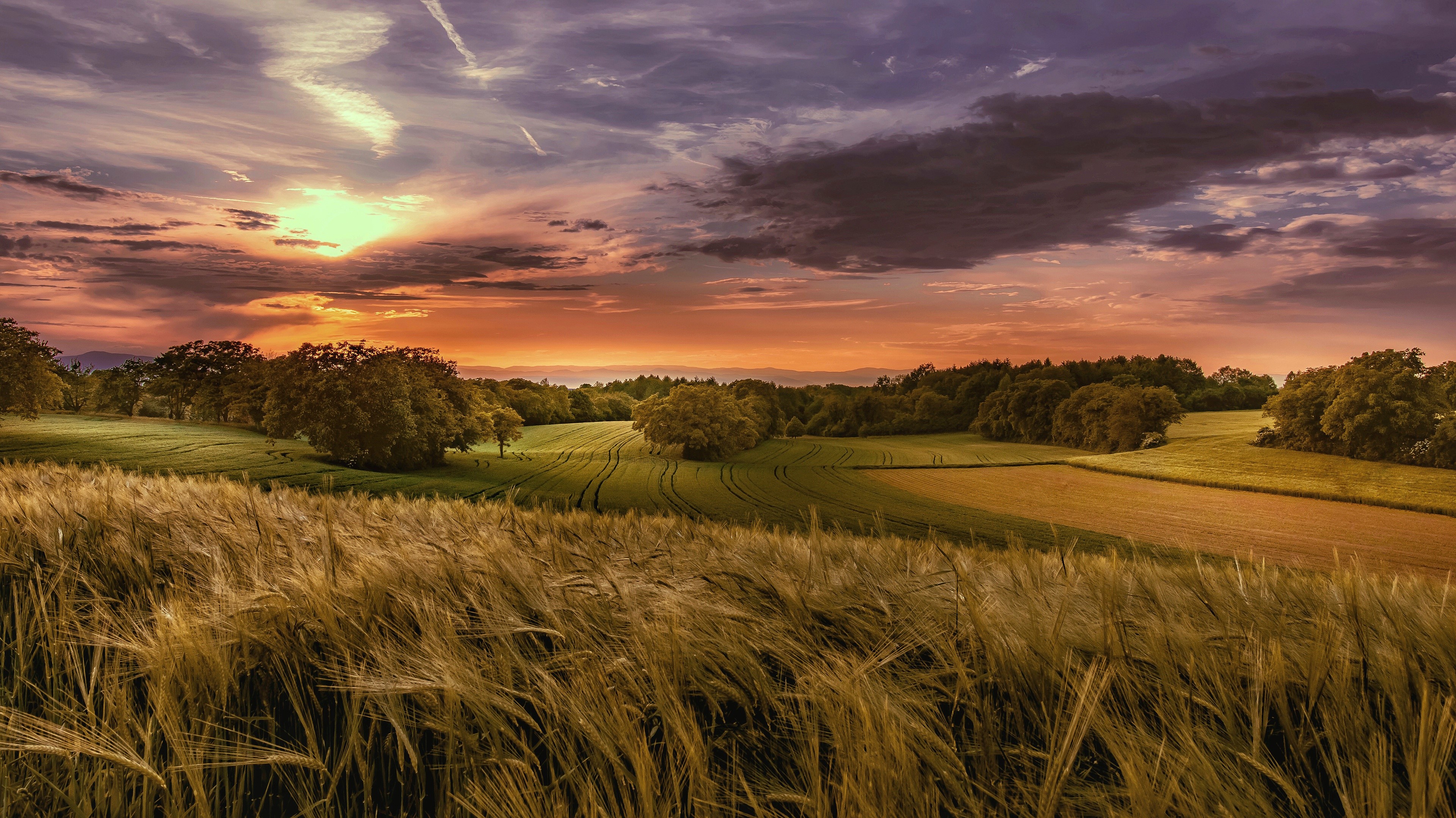 4K landscape of a field at sunset HD Wallpaper