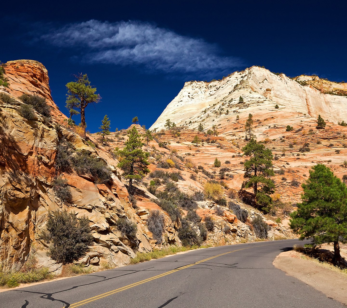 Road through Zion National Park landscape HD Wallpaper