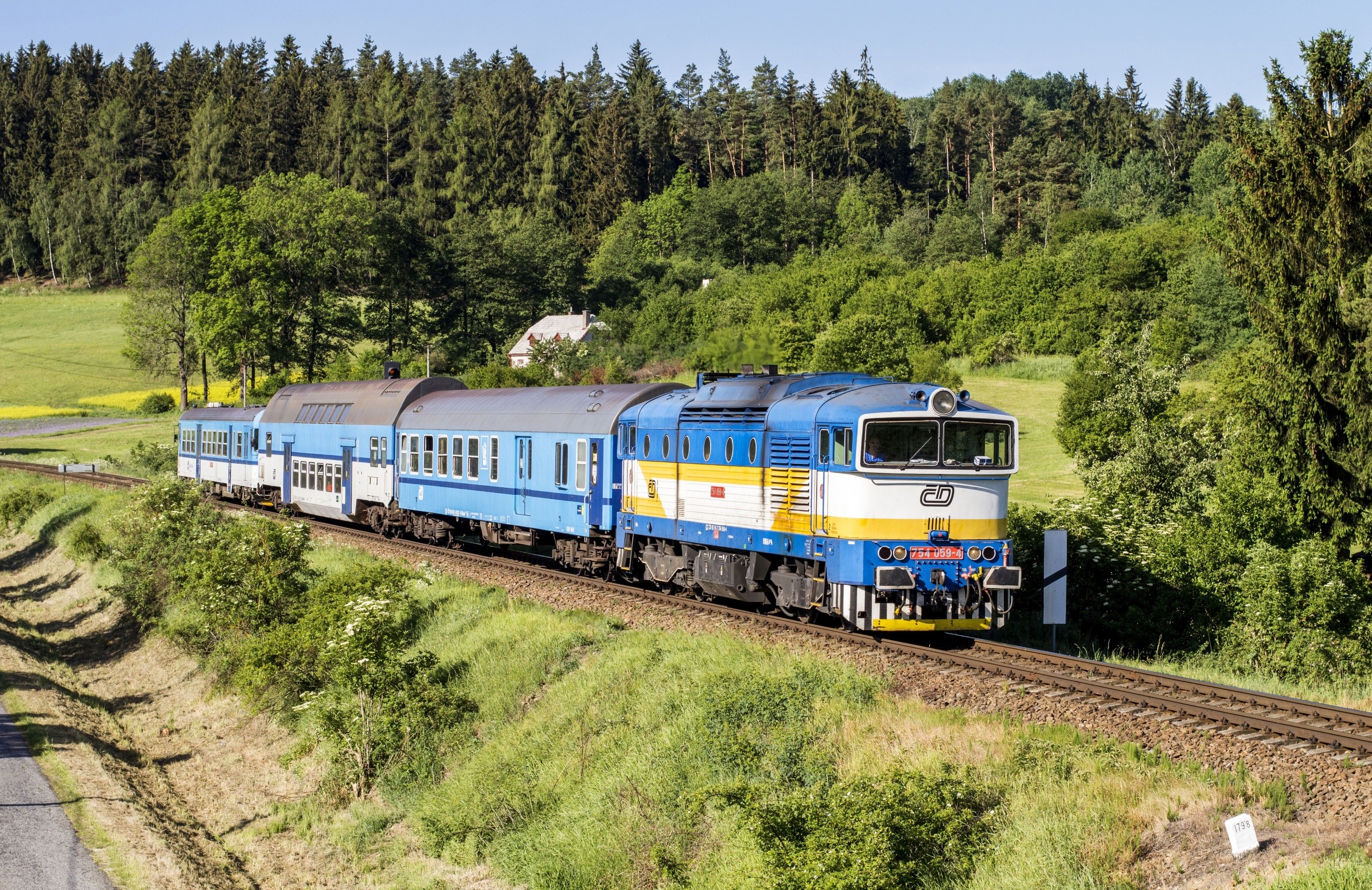 Blue and yellow train on railroad tracks in a forest landscape HD Wallpaper