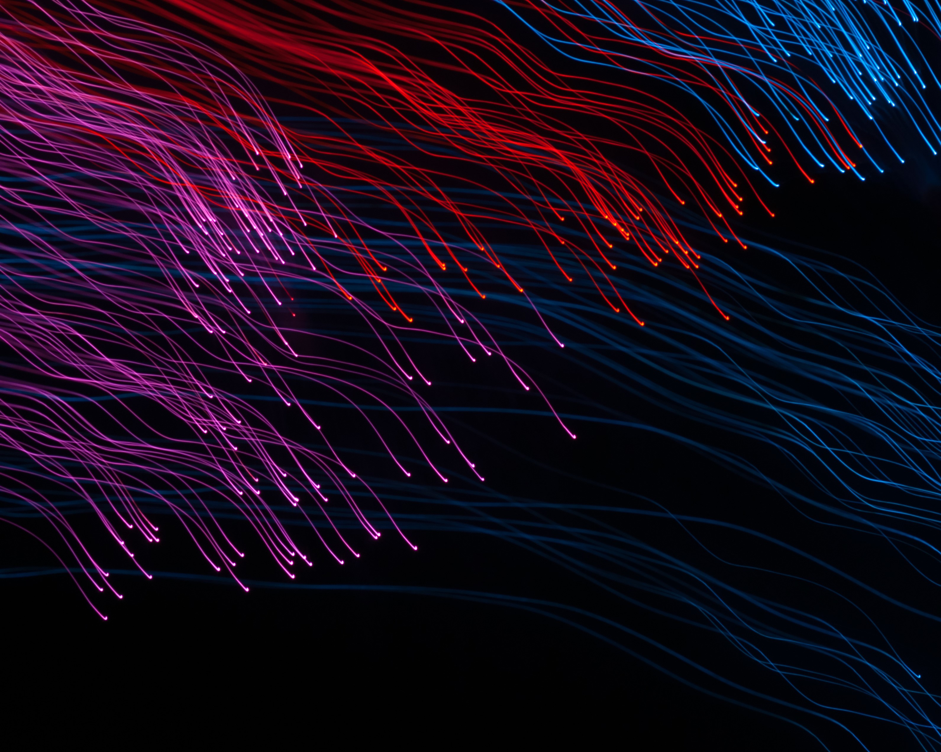 Abstract light trails in pink, red, and blue HD Wallpaper