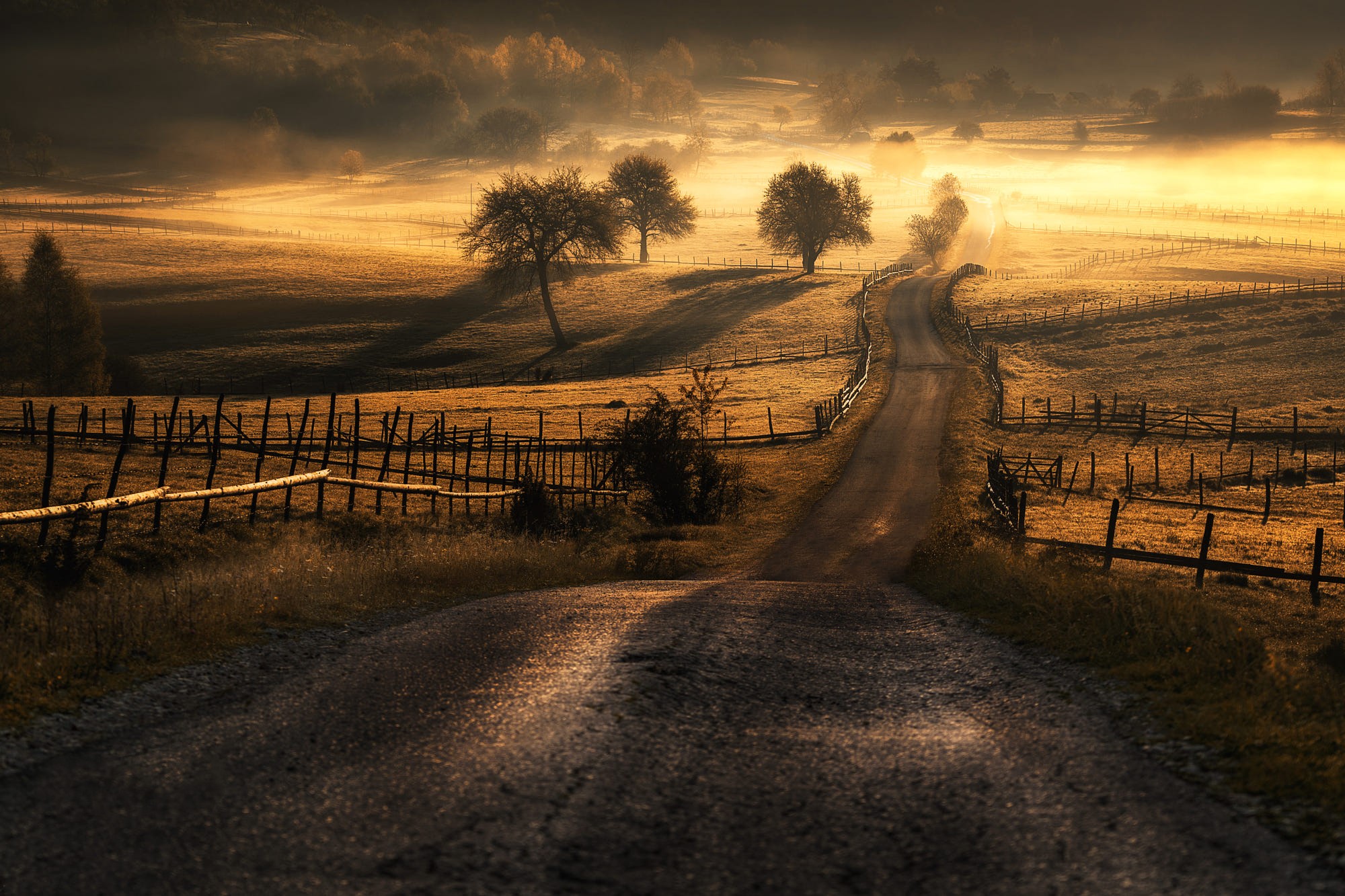 Dirt road through a misty field at sunrise HD Wallpaper