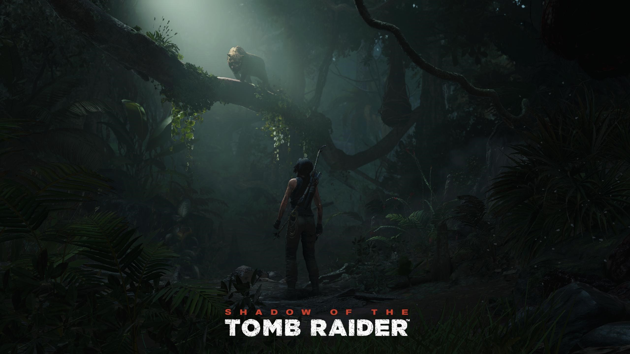 Lara Croft from Shadow of the Tomb Raider in a jungle HD Wallpaper