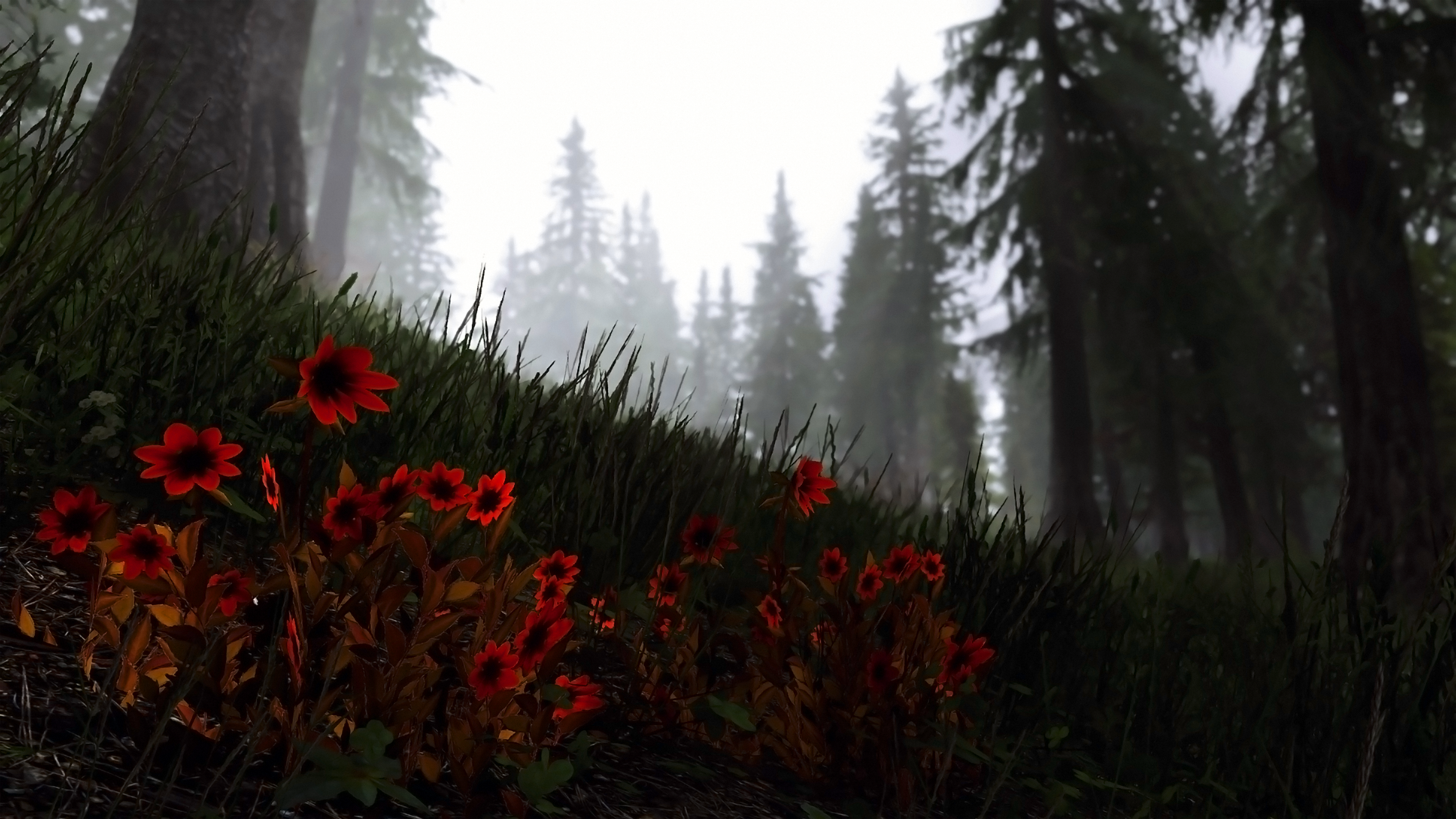 4K The Elder Scrolls V: Skyrim video game screenshot HD Wallpaper