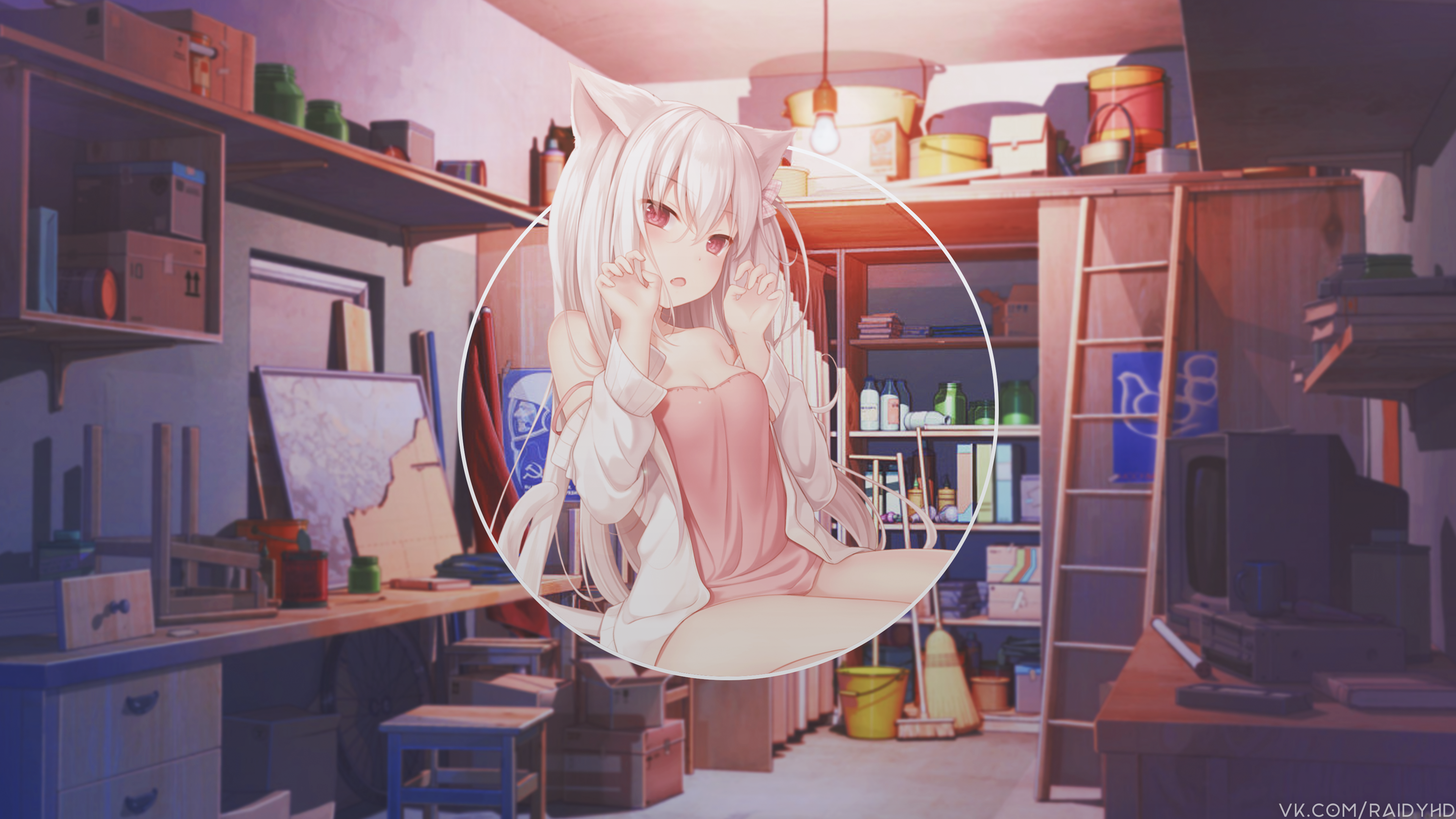 Anime girl with cat ears in a room HD Wallpaper