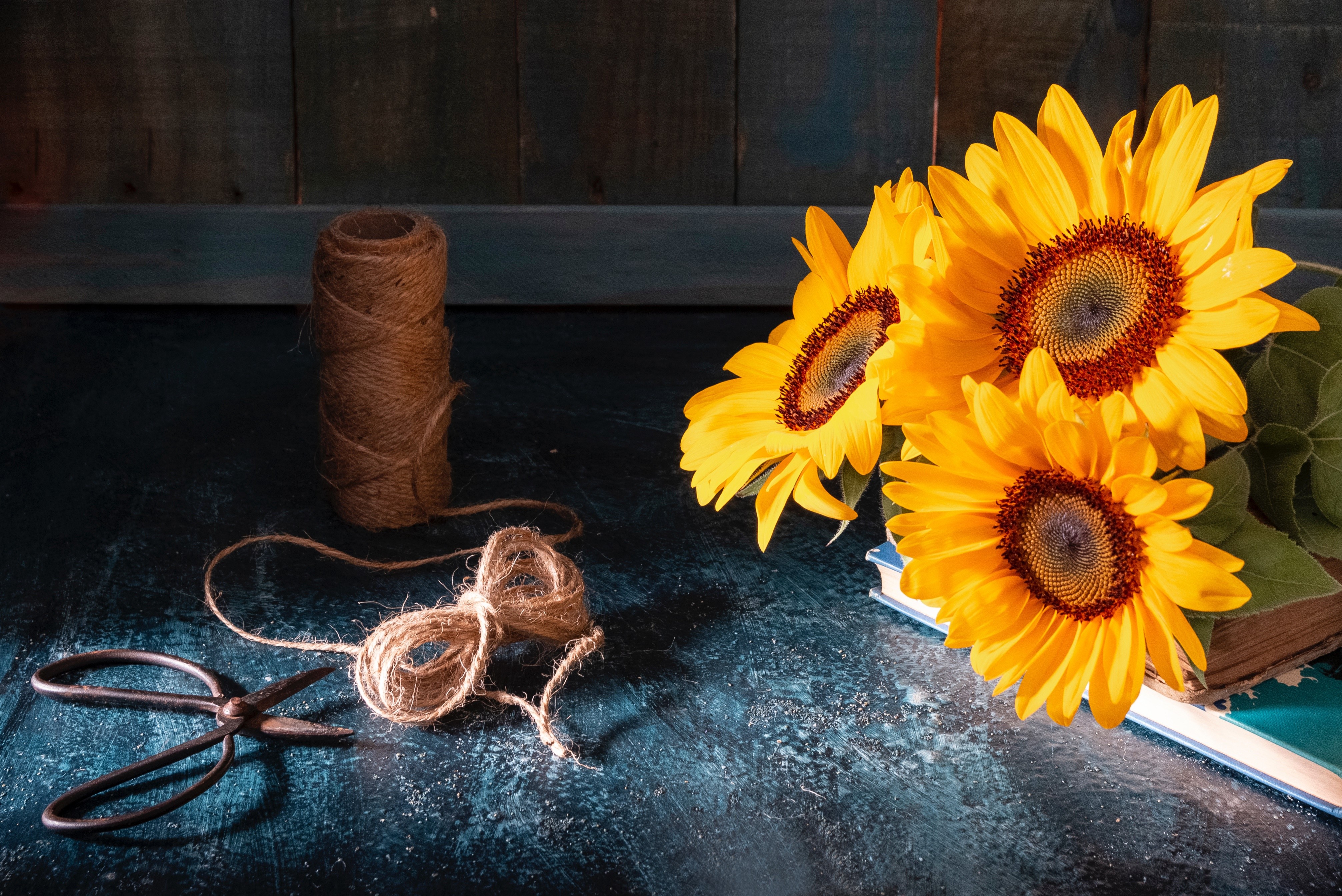 Still life with sunflowers, twine, and scissors HD Wallpaper