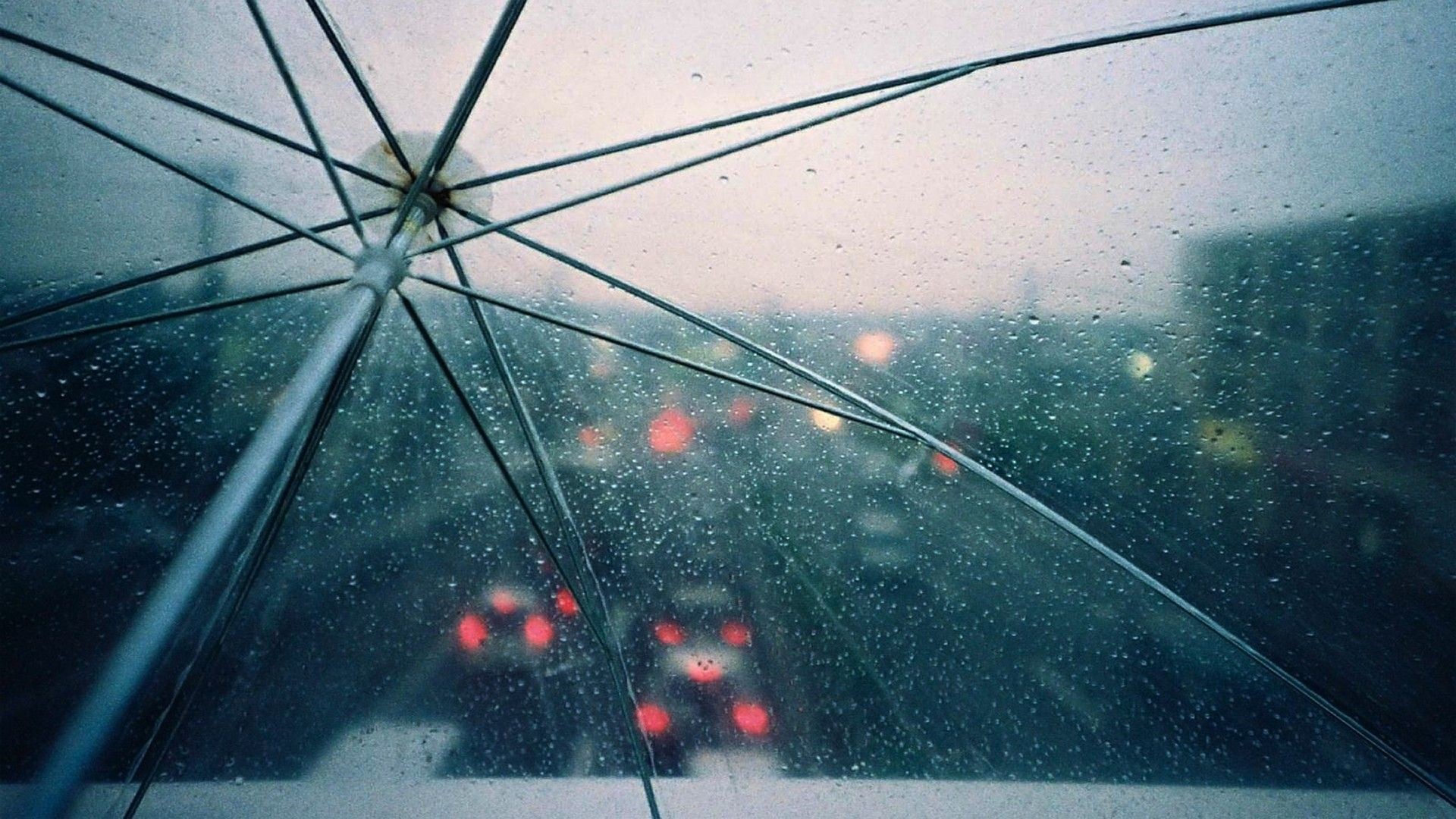 Inside an umbrella looking out at a rainy city street HD Wallpaper