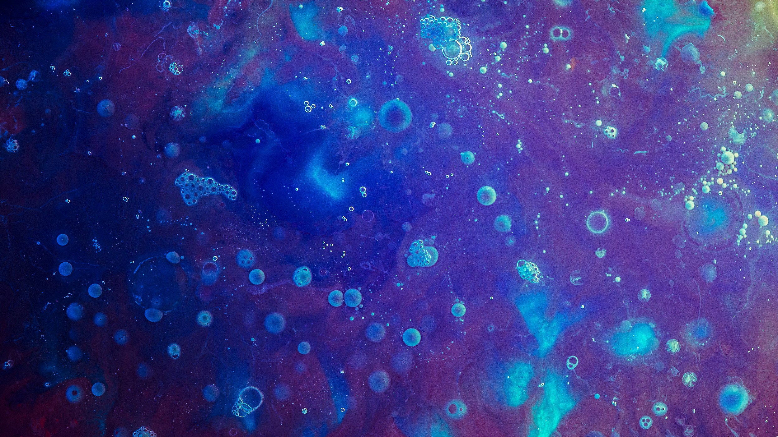 Abstract photography of blue and purple liquid with bubbles HD Wallpaper