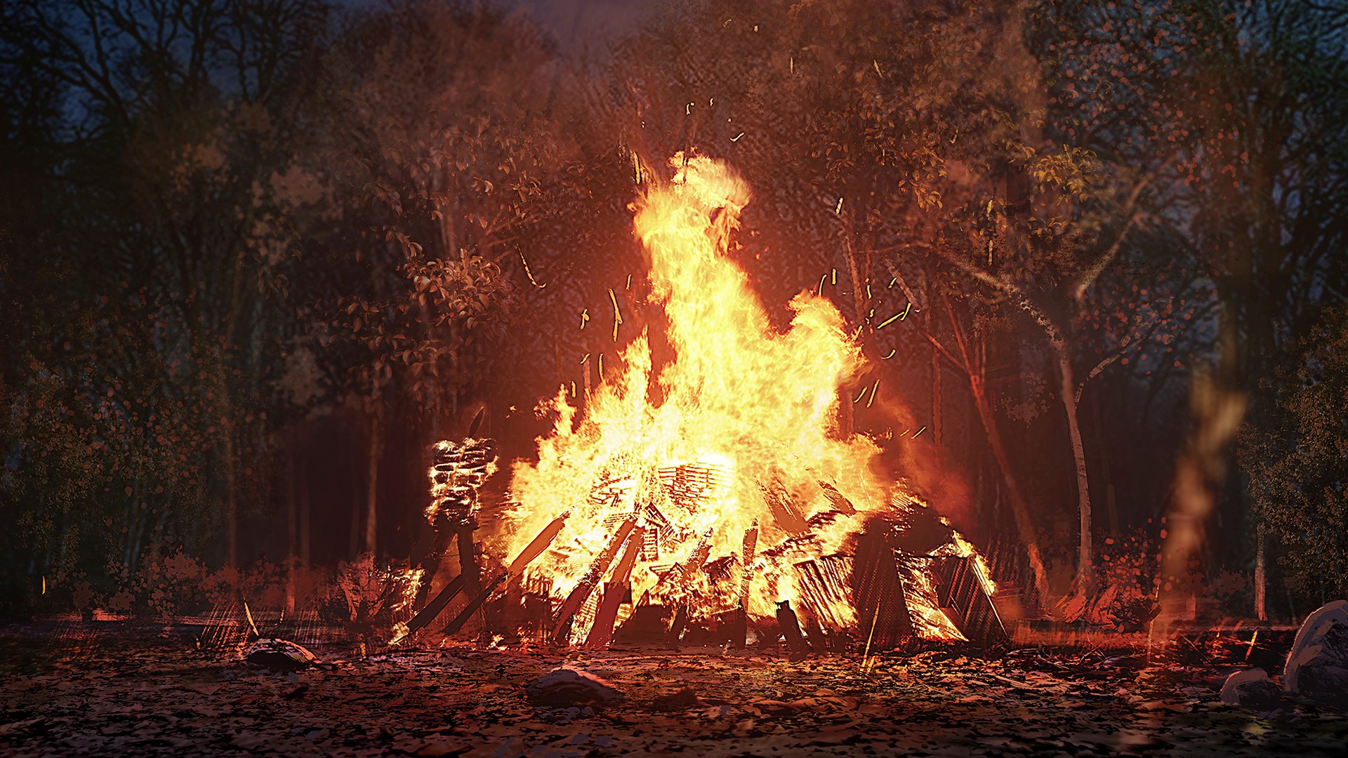 Bonfire in a dark forest HD Wallpaper
