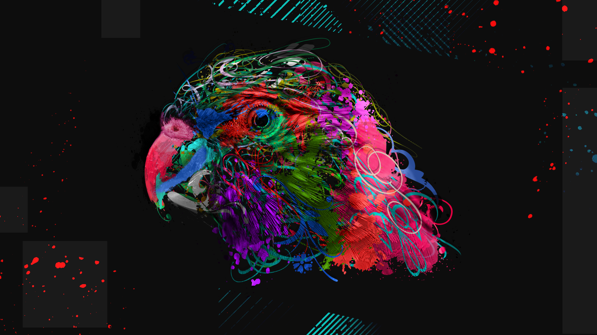 Abstract digital art of a colorful parrot head HD Wallpaper