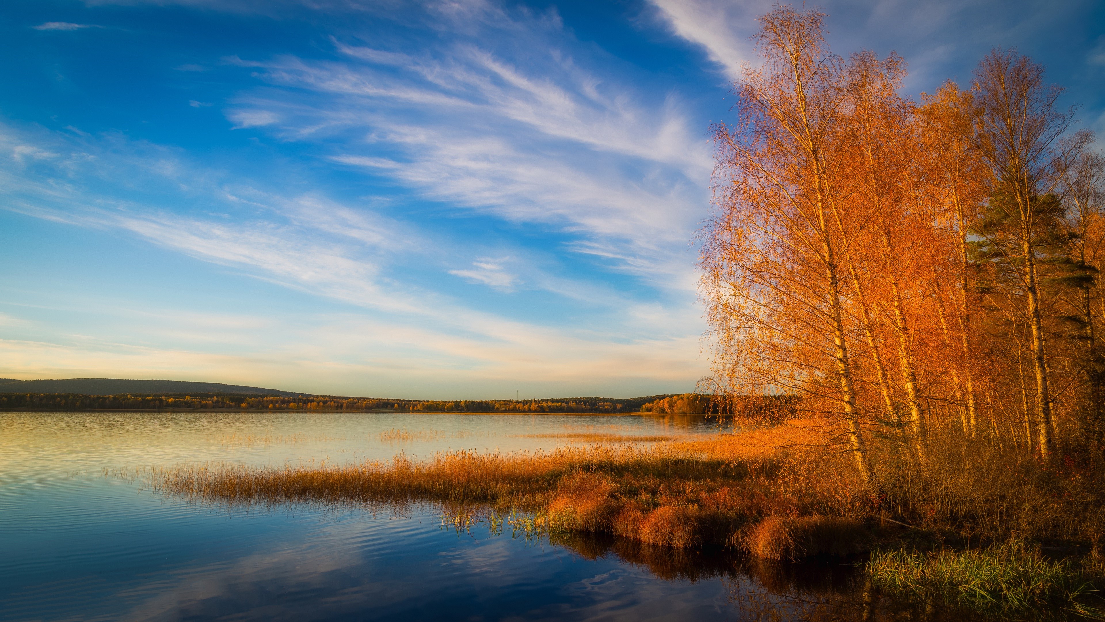 Autumn lake with birch trees and blue sky HD Wallpaper