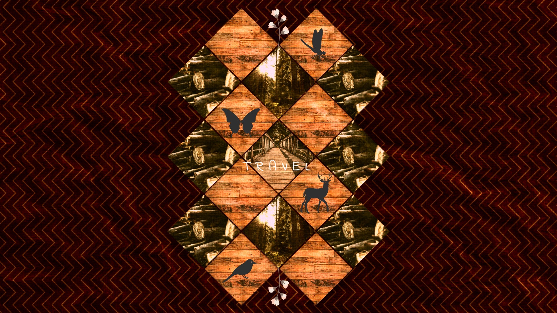 Travel collage with animals and forest scenes HD Wallpaper