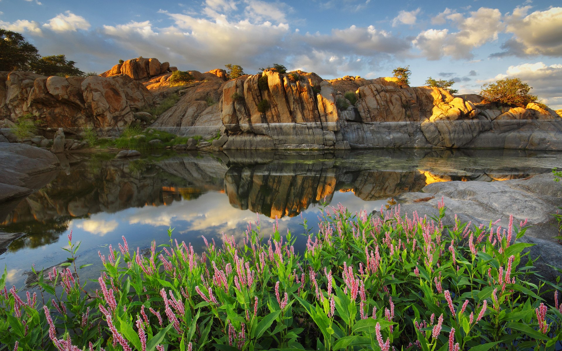 Rocky landscape with a calm river and pink flowers HD Wallpaper