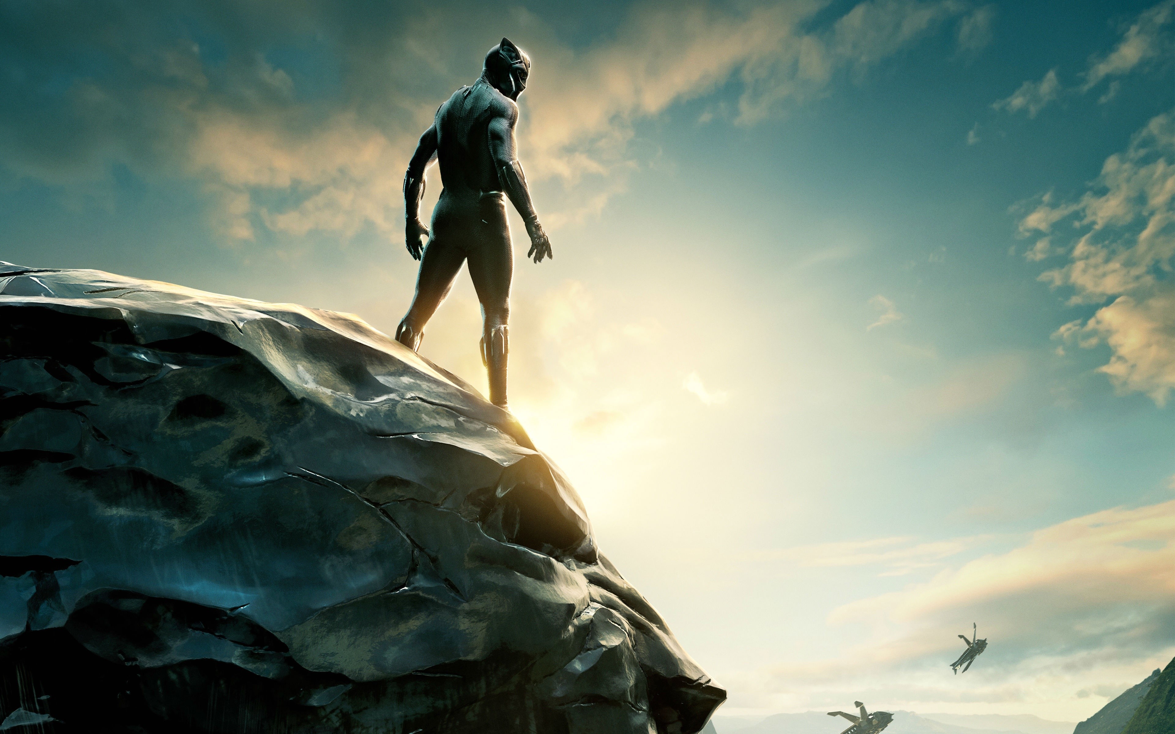 Black Panther from Marvel Super Heroes on a cliff HD Wallpaper