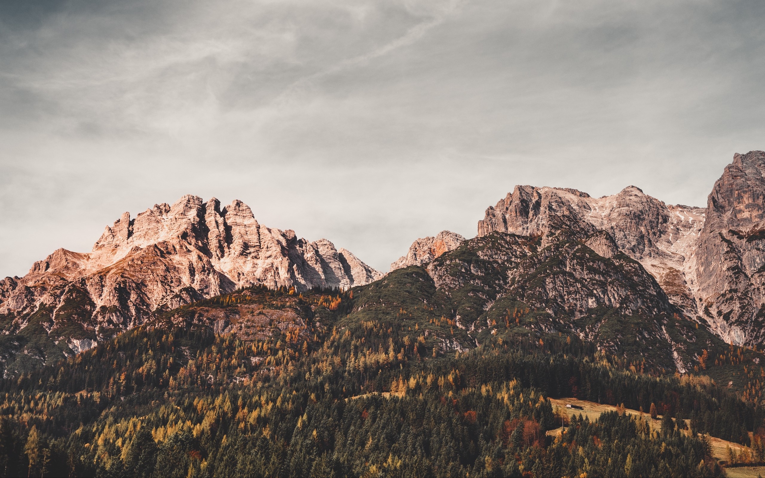 Mountains and forest in Austria HD Wallpaper