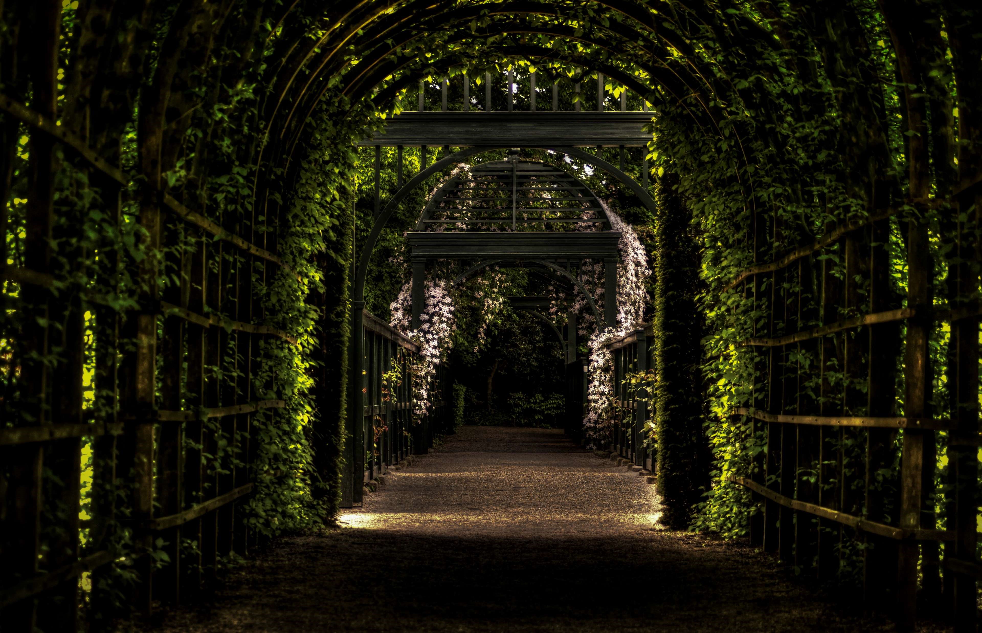 Garden tunnel with archways and foliage HD Wallpaper