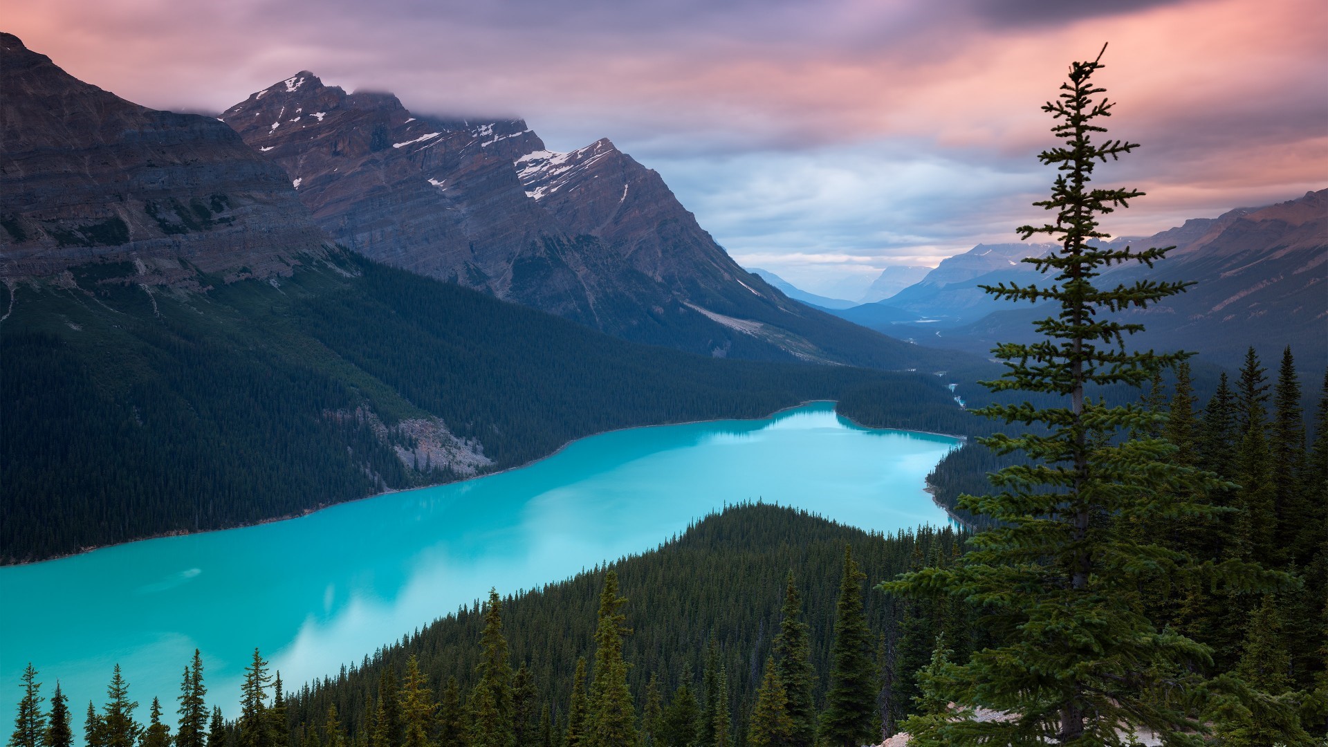 Peyto Lake and Mountains in Banff National Park, Canada HD Wallpaper