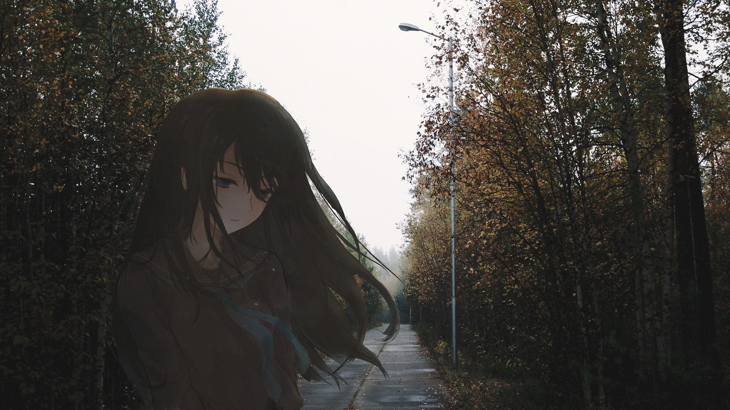 Anime girl on a path in autumn forest HD Wallpaper