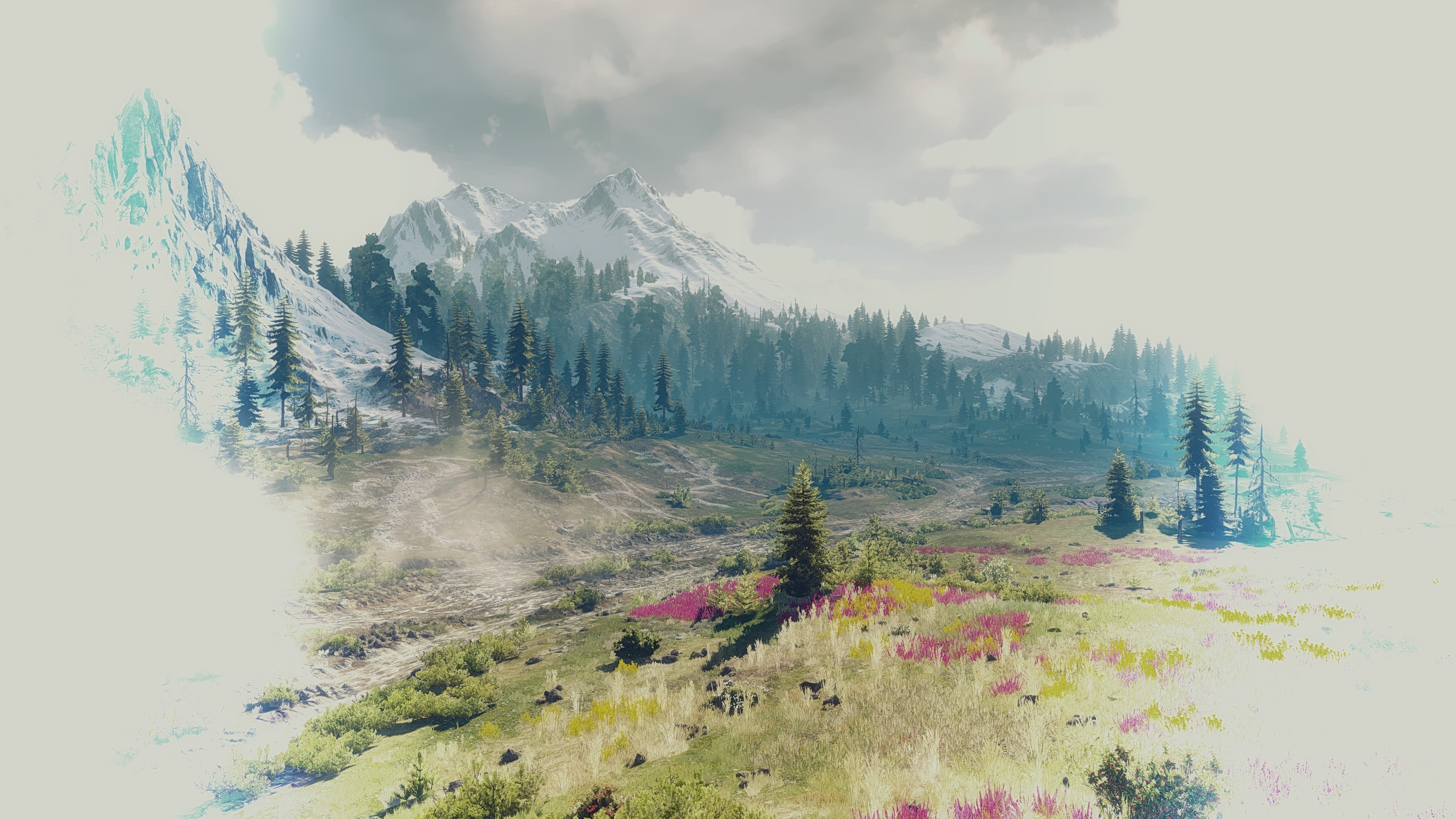 4K Mountains and Forest Landscape from The Witcher 3 HD Wallpaper