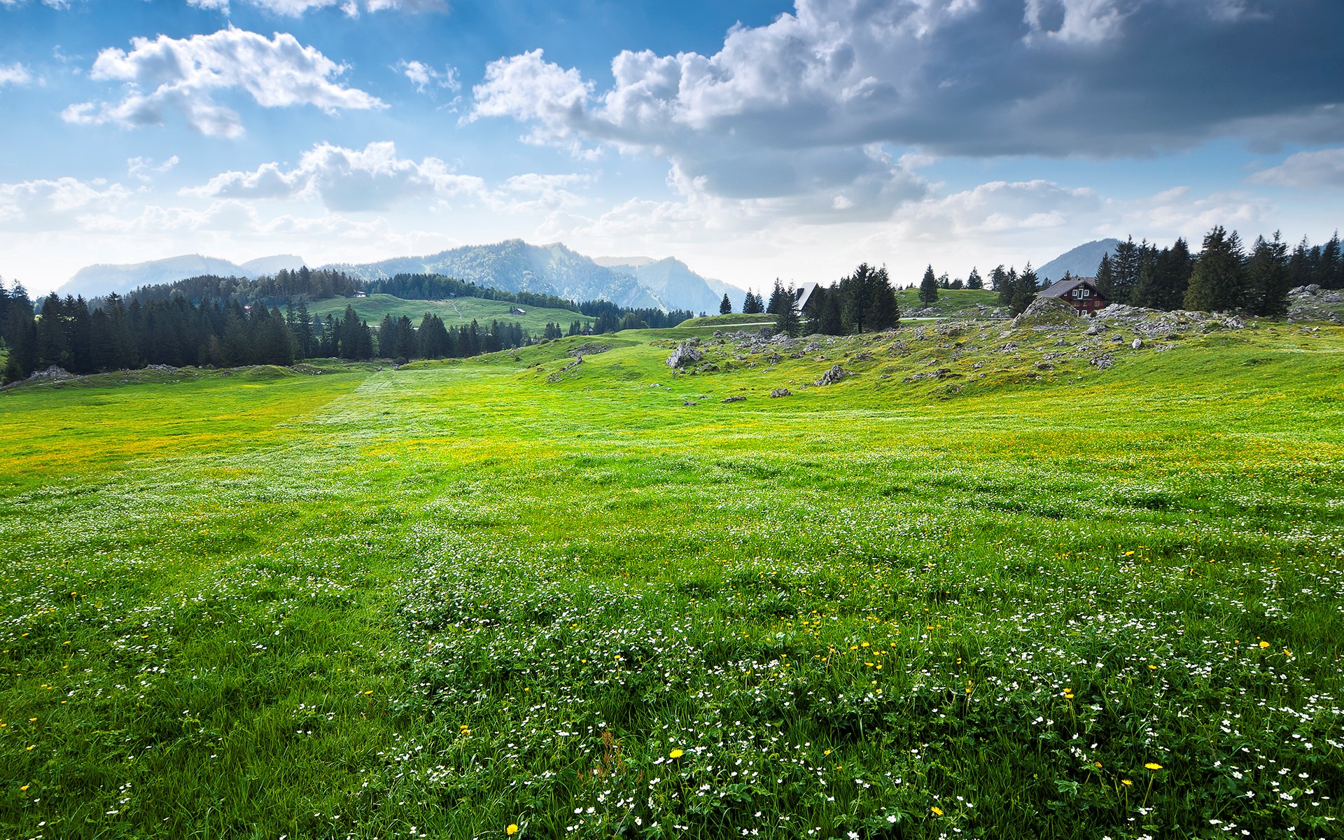 Green Meadow with Mountains and Houses HD Wallpaper