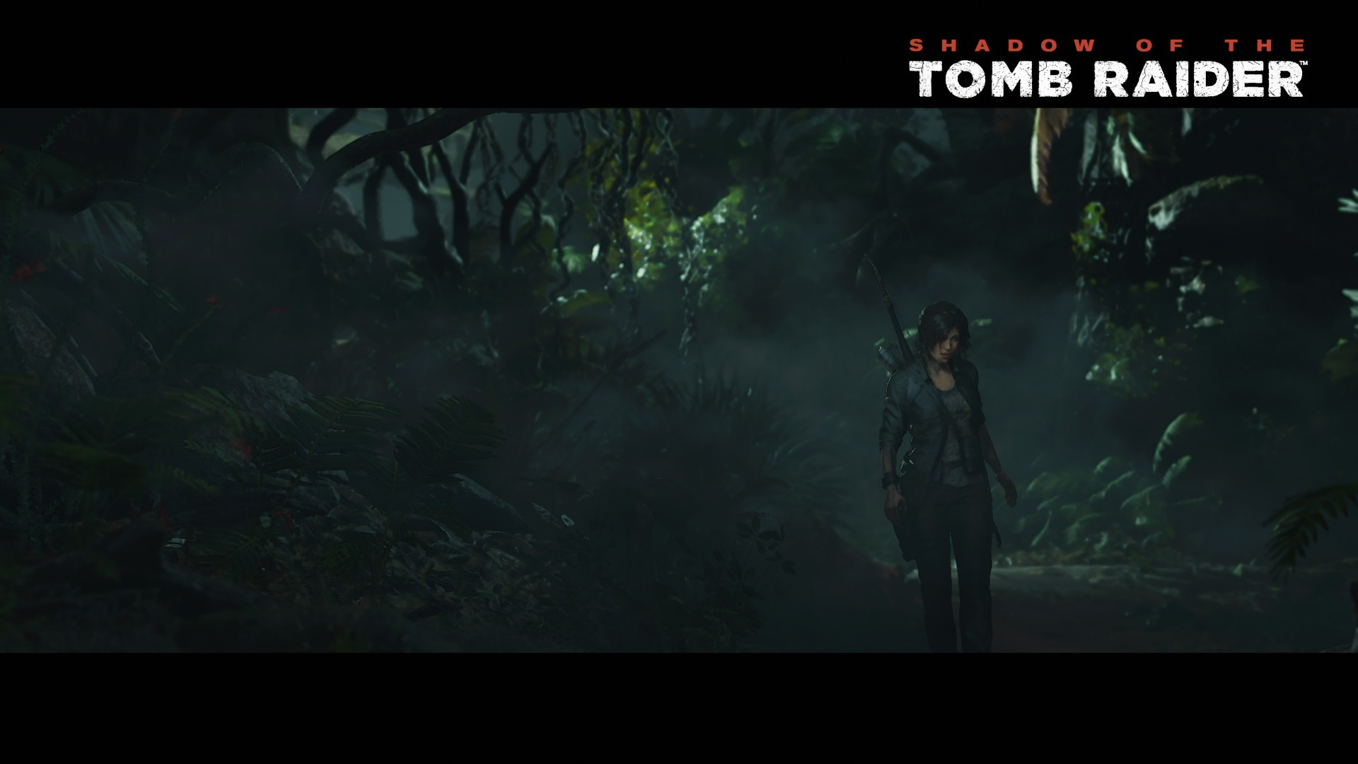 Lara Croft from Shadow of the Tomb Raider HD Wallpaper