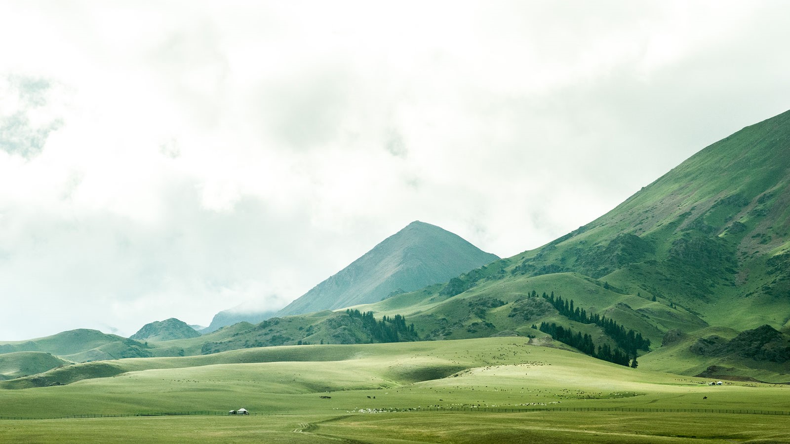 Green rolling hills and mountains under a cloudy sky HD Wallpaper