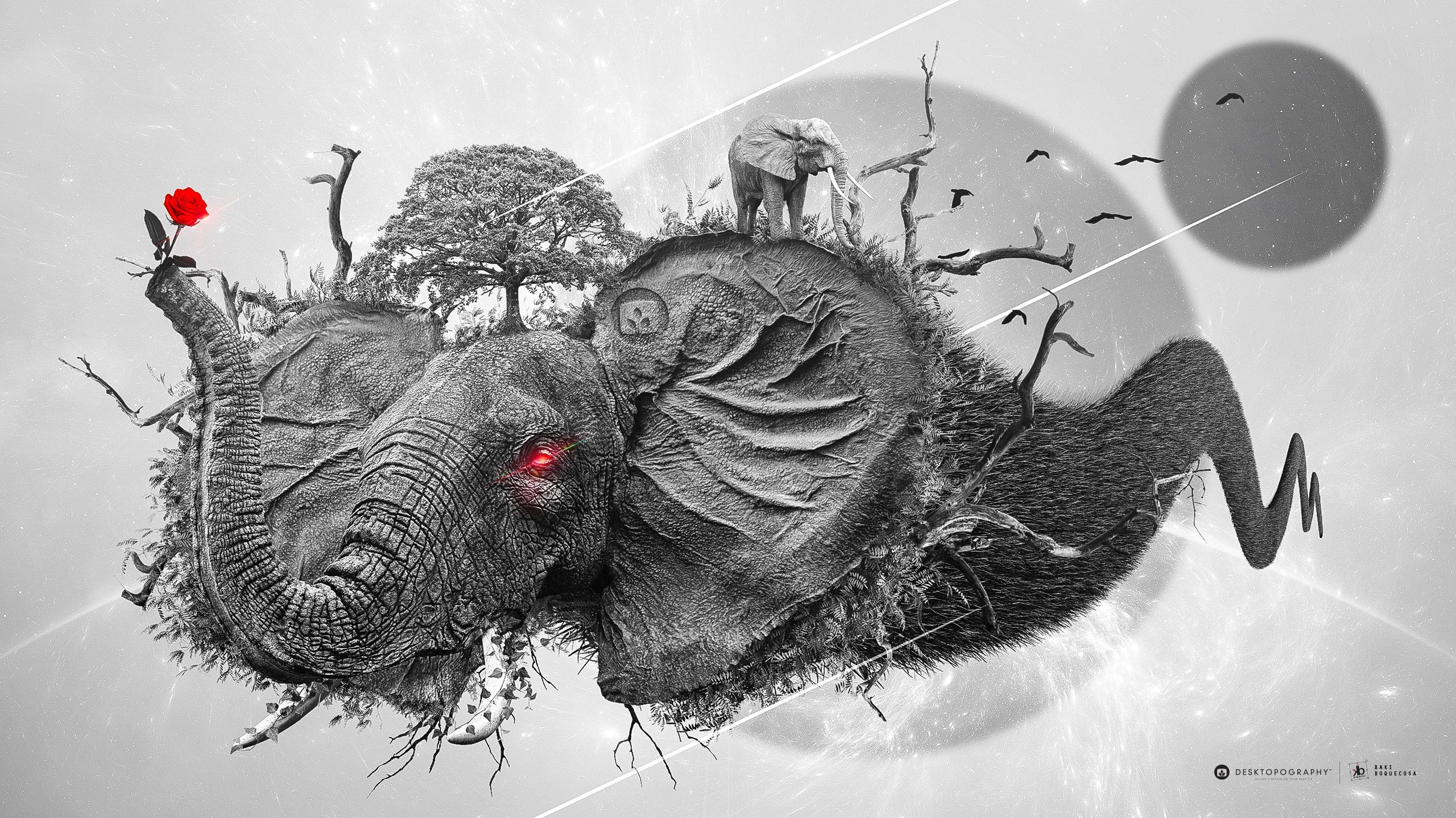 Surreal Elephant Island with Rose and Birds HD Wallpaper