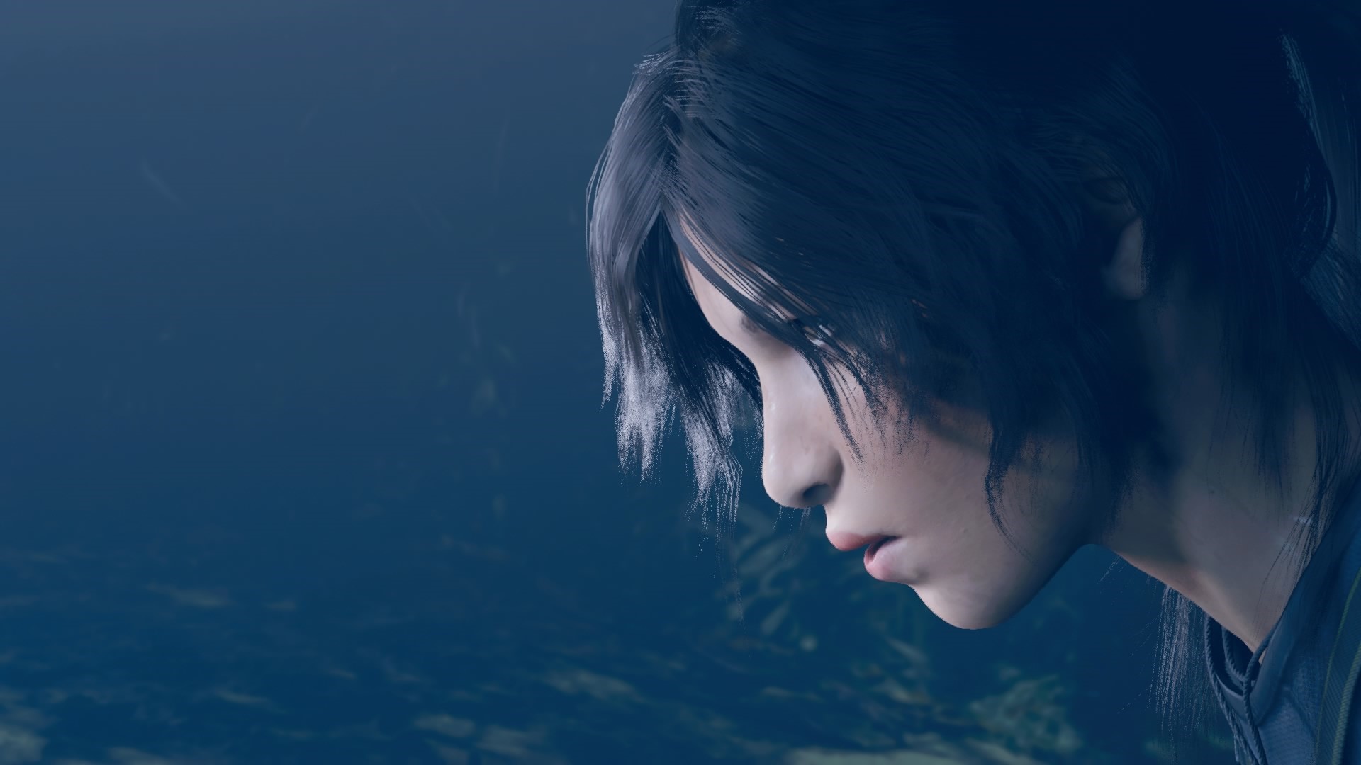 Lara Croft from Shadow of the Tomb Raider HD Wallpaper