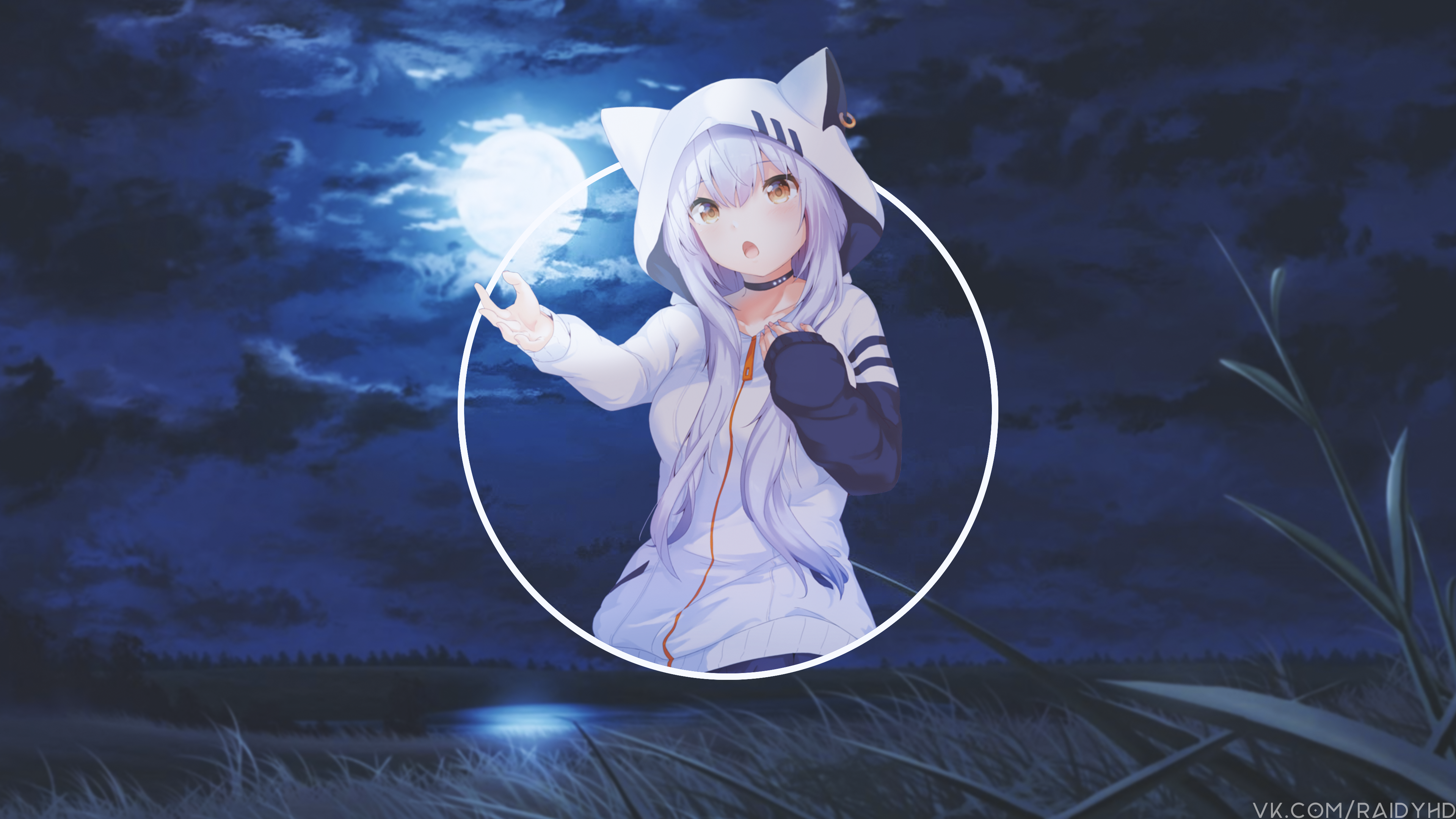 Anime girl with cat ears under the moon HD Wallpaper