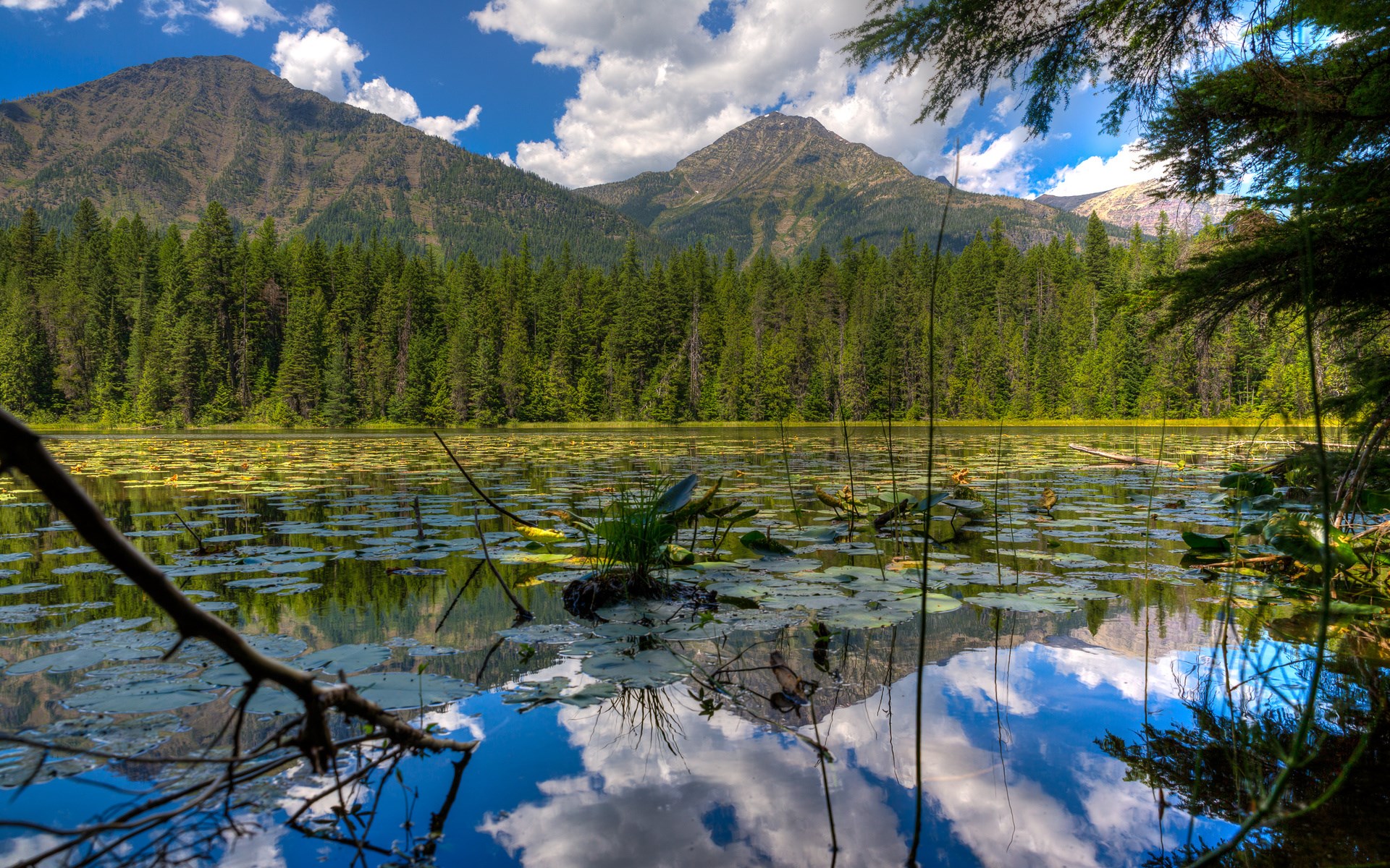 Lake with lily pads and mountains HD Wallpaper