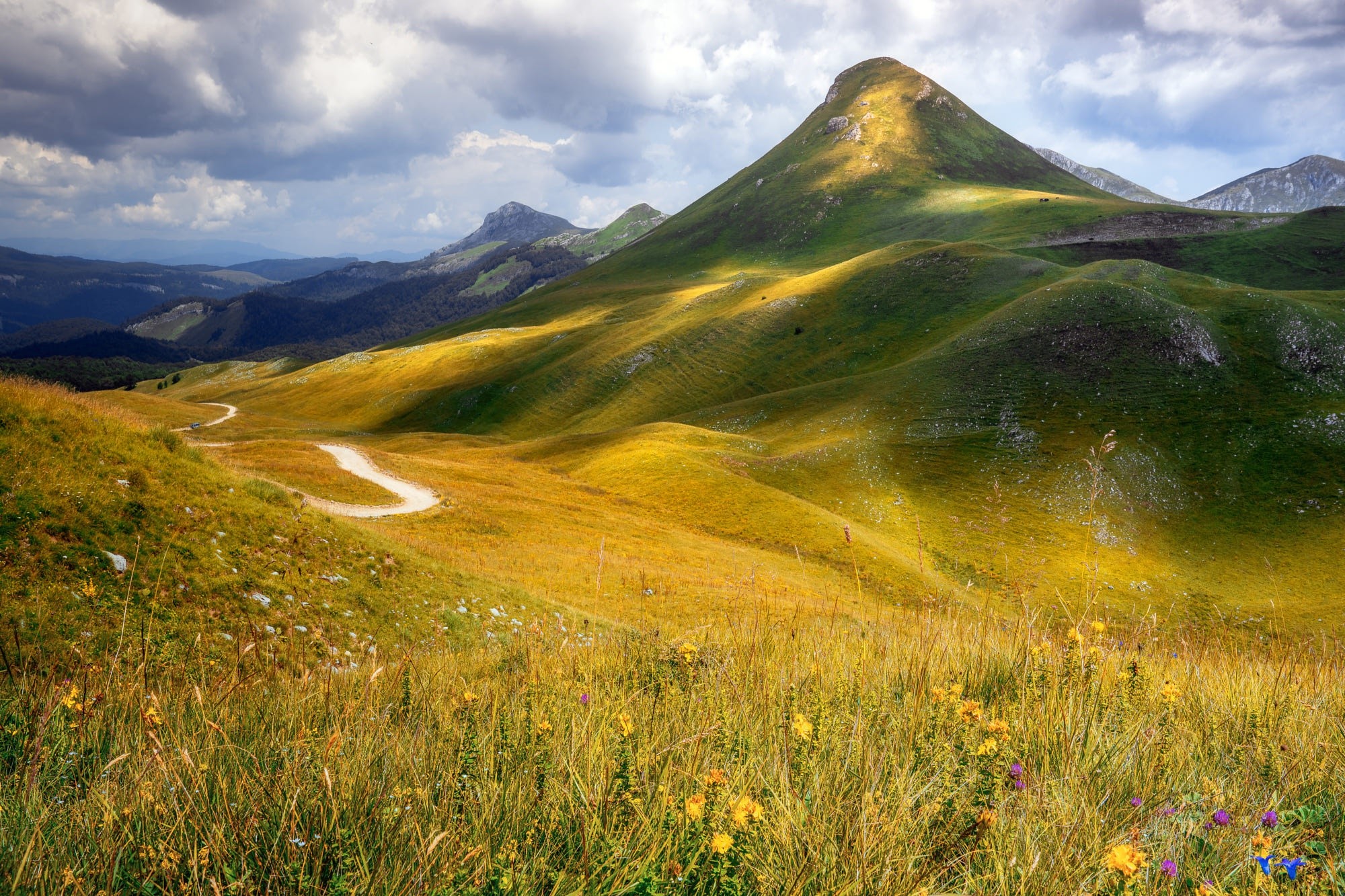 Rolling green hills with a winding path and wildflowers HD Wallpaper