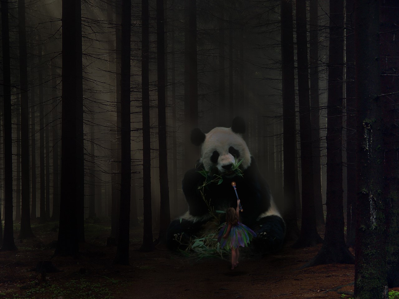 Panda and girl in a dark forest HD Wallpaper