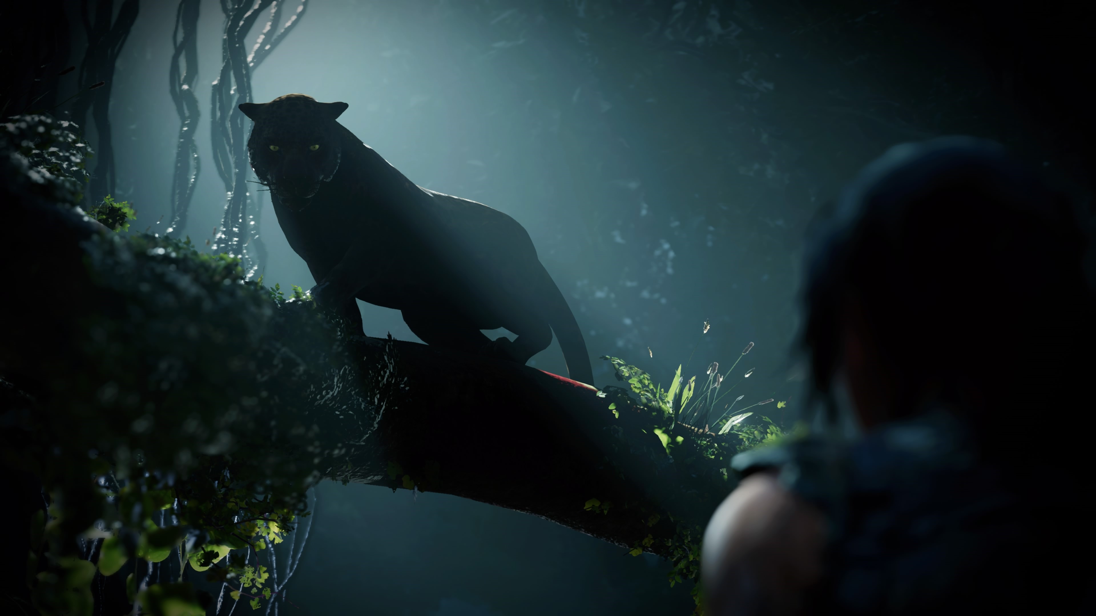 Lara Croft from Tomb Raider in a jungle HD Wallpaper