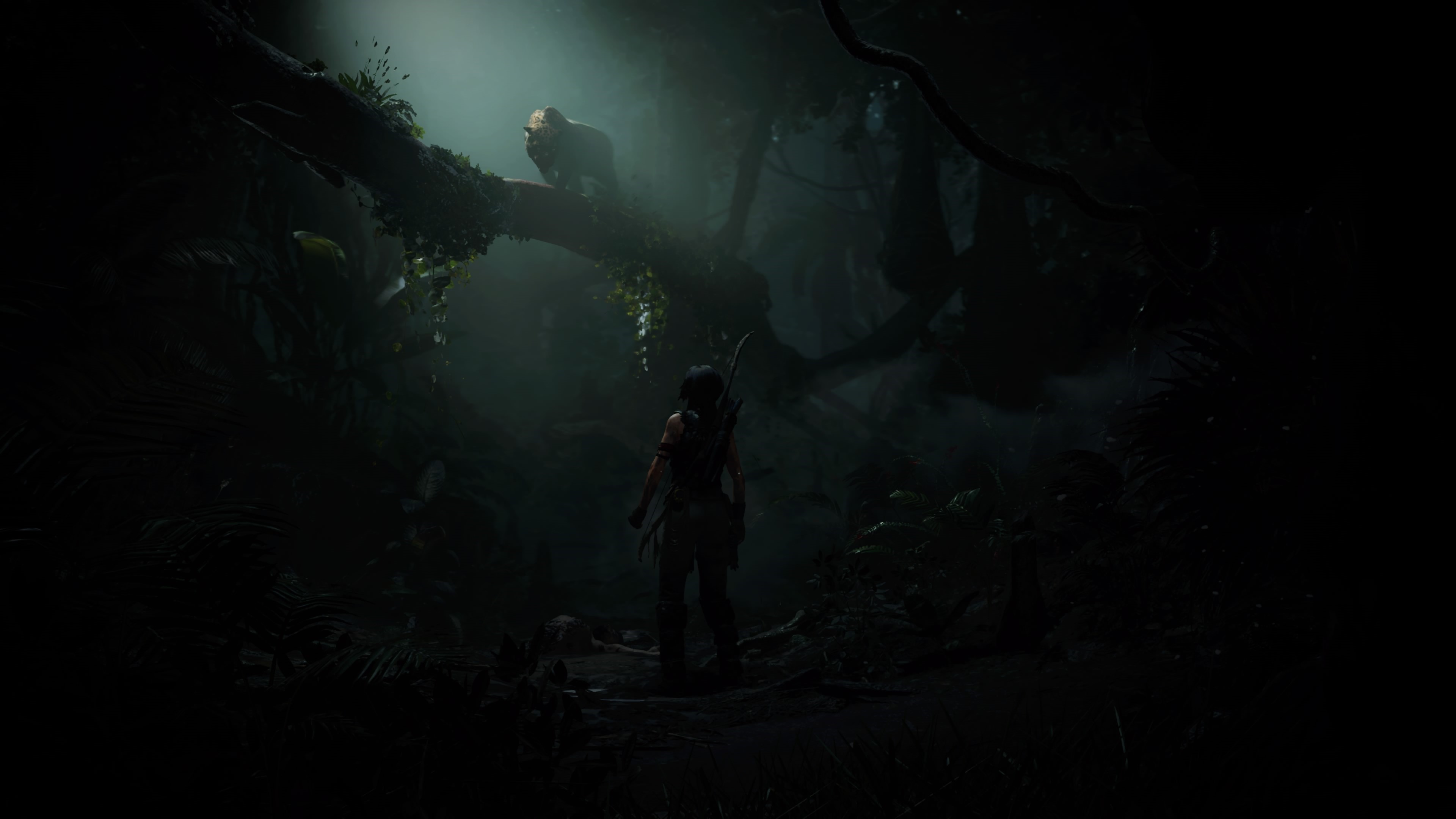 Lara Croft from Tomb Raider in a jungle HD Wallpaper