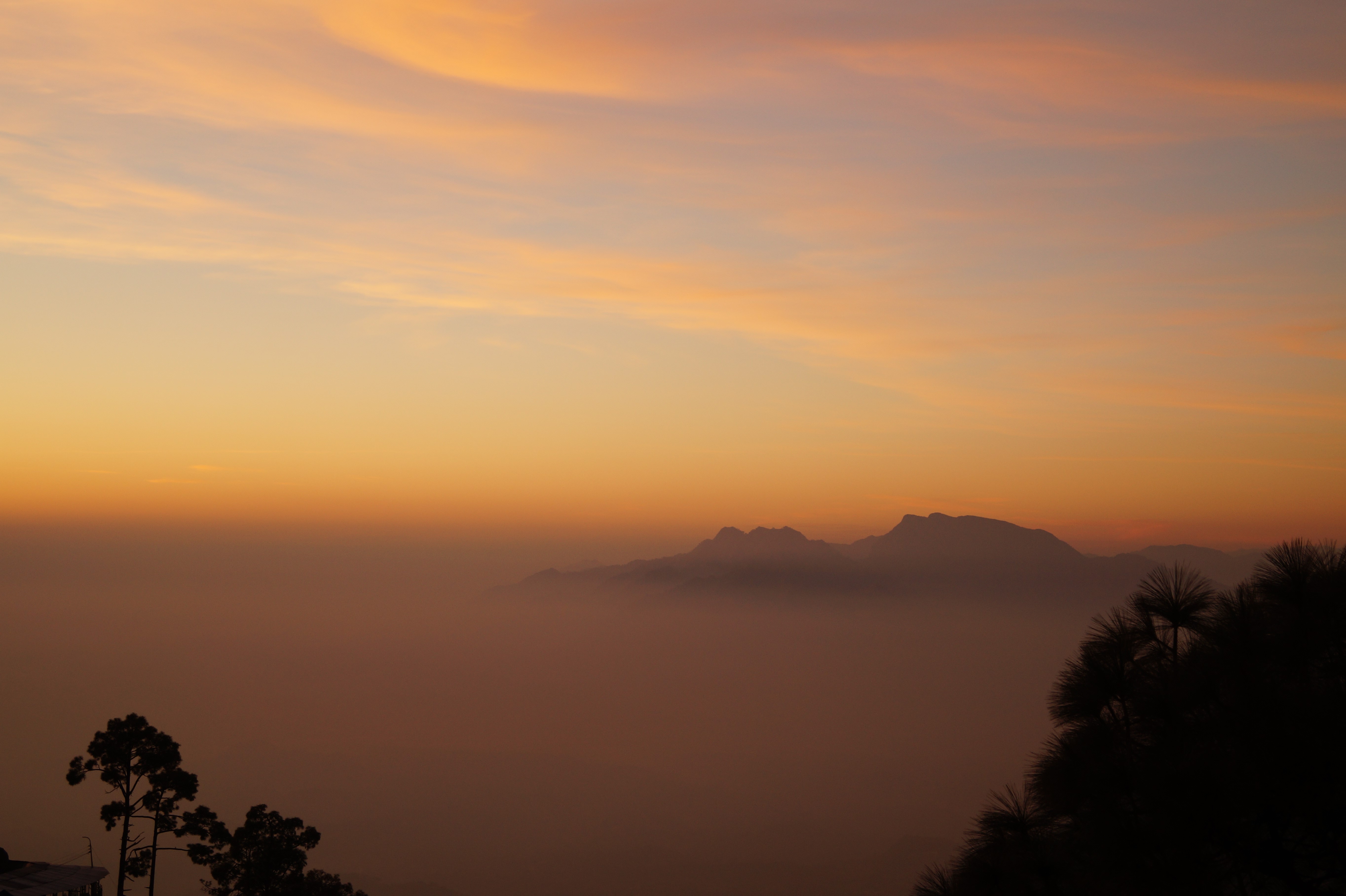 Sunrise over misty mountains with pine trees HD Wallpaper