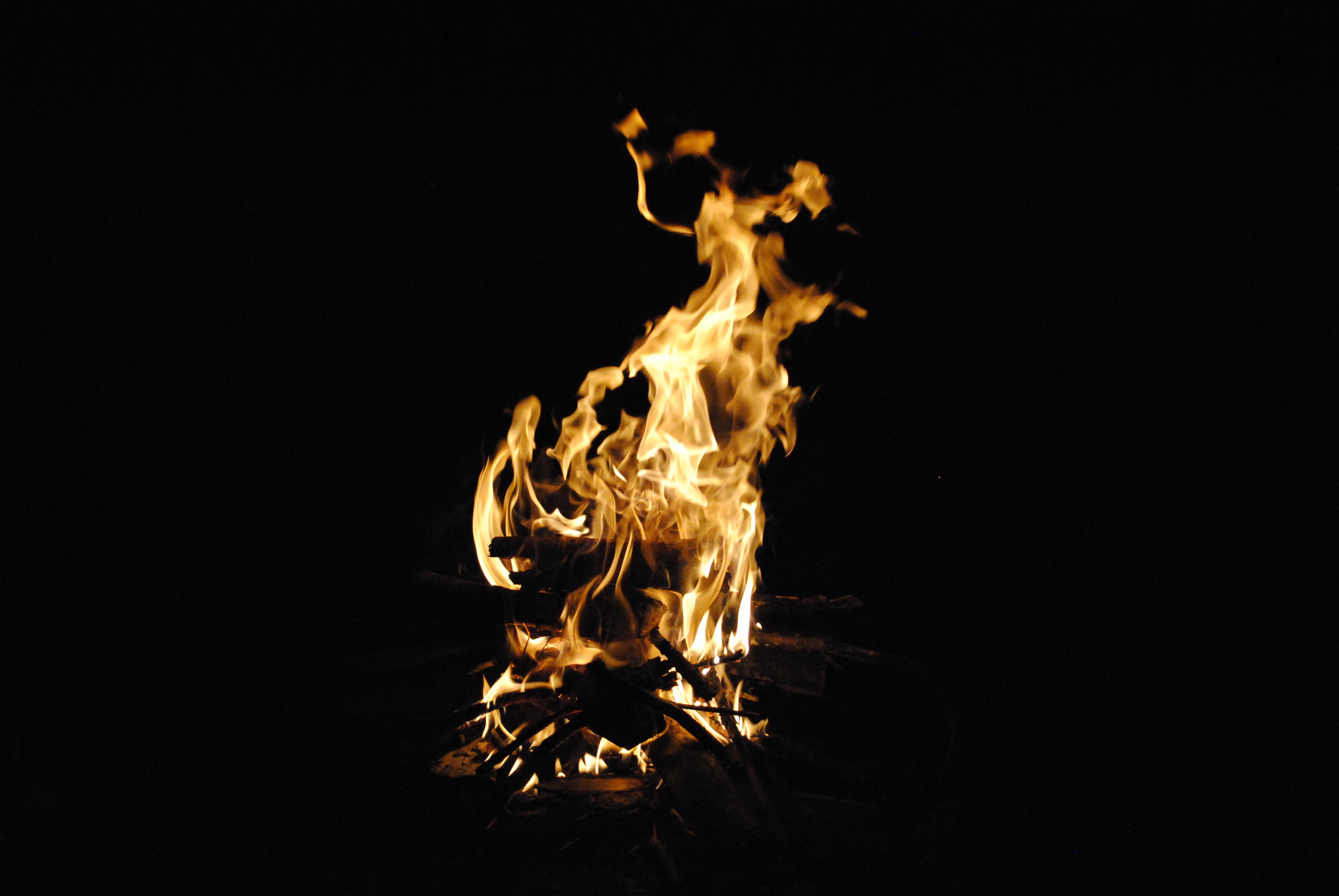 4K fire burning wood at night HD Wallpaper