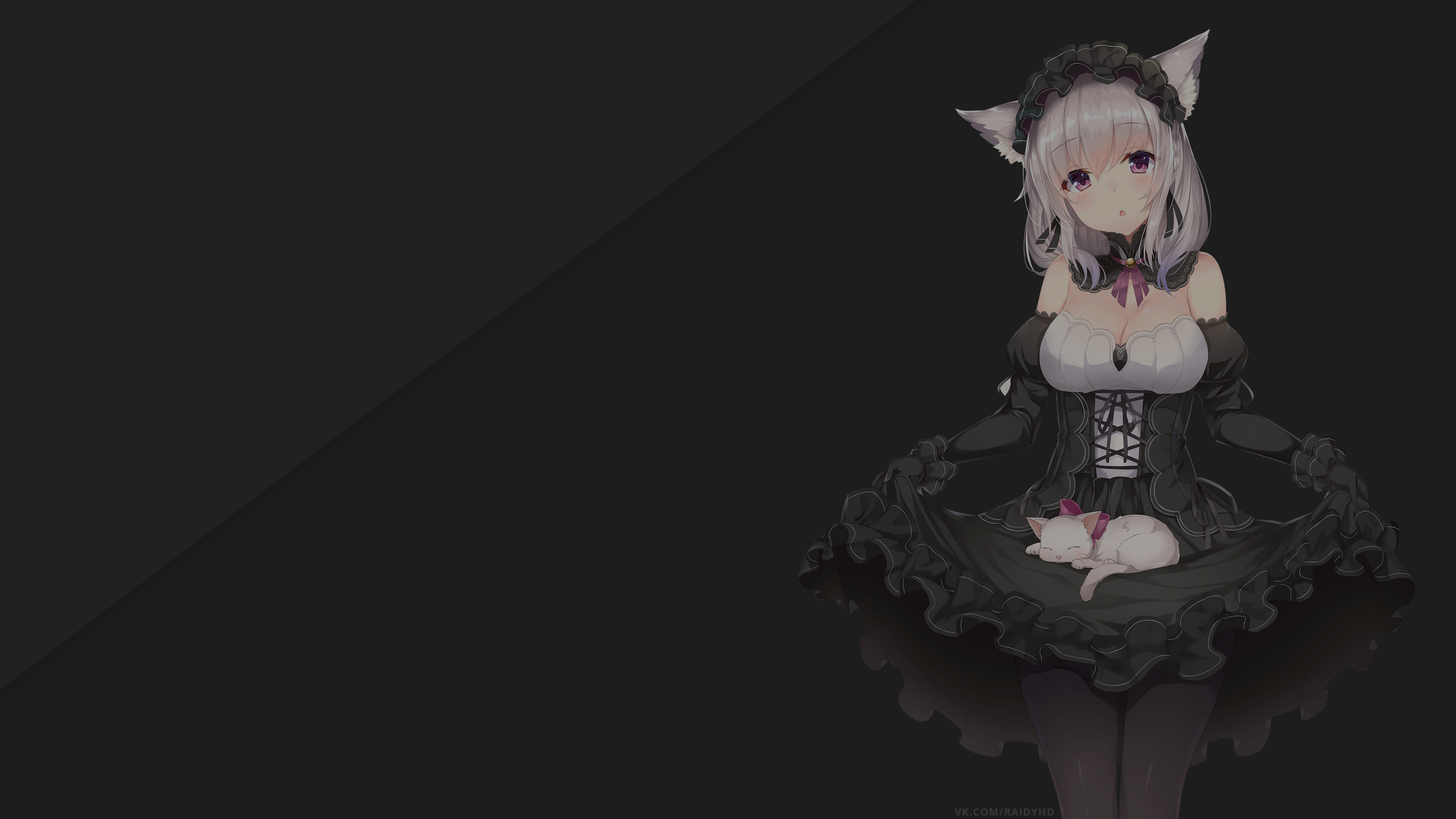 Anime girl with cat ears and a kitten HD Wallpaper