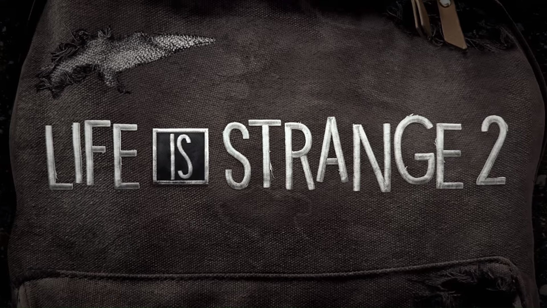 Life is Strange 2 logo on a backpack HD Wallpaper
